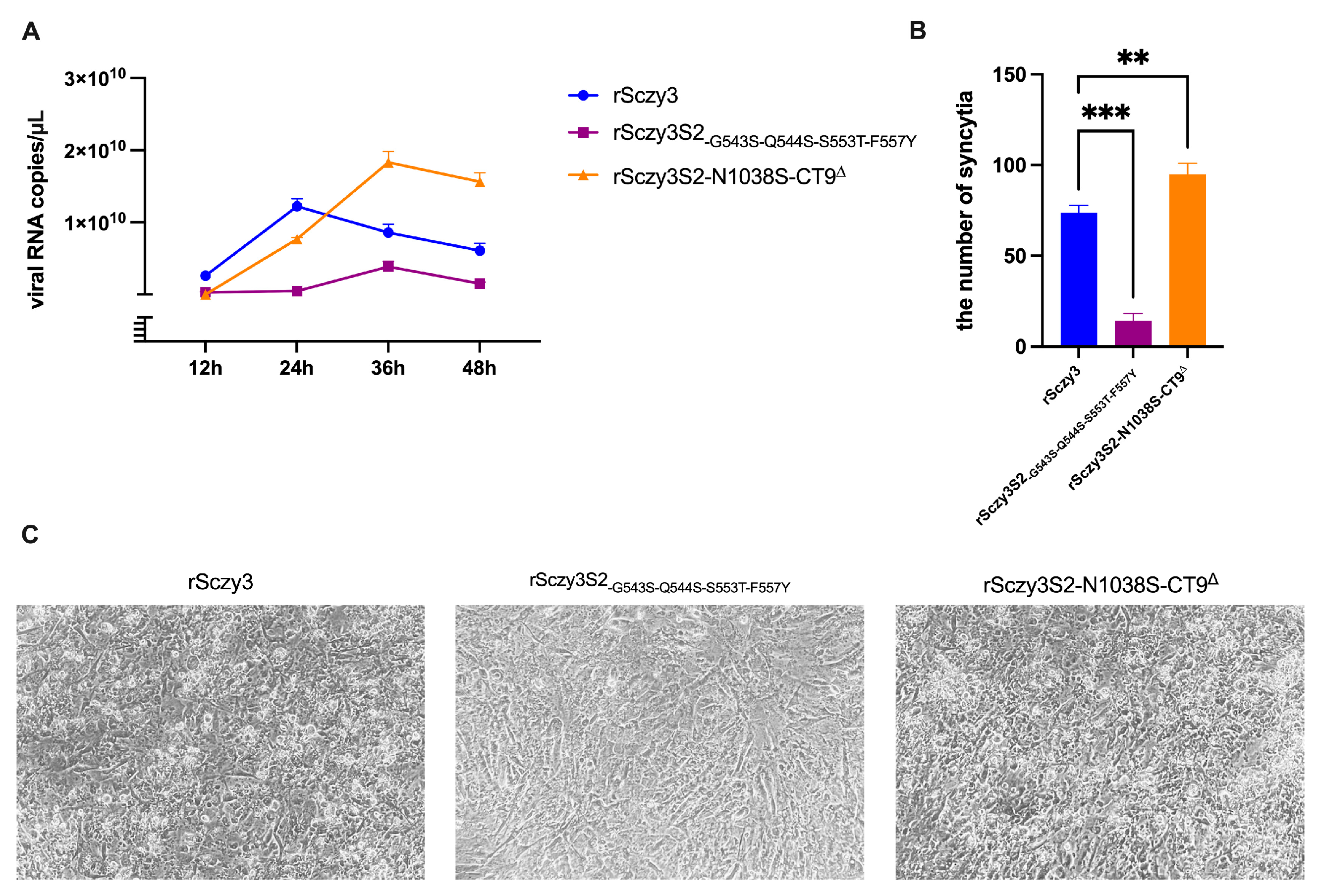 Viruses 15 01246 g002 Viruses 15 01246 g002