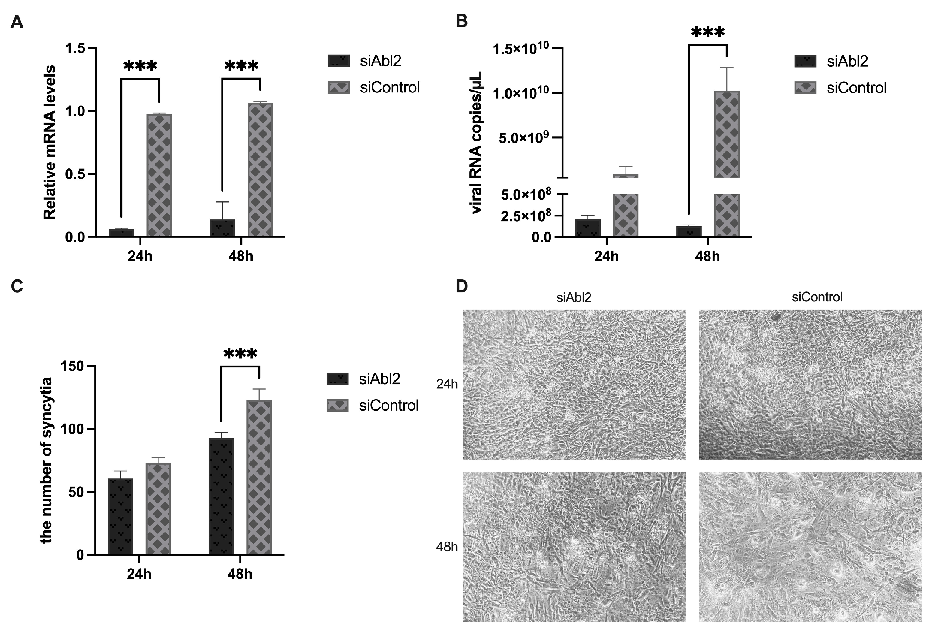 Viruses 15 01246 g004 Viruses 15 01246 g004