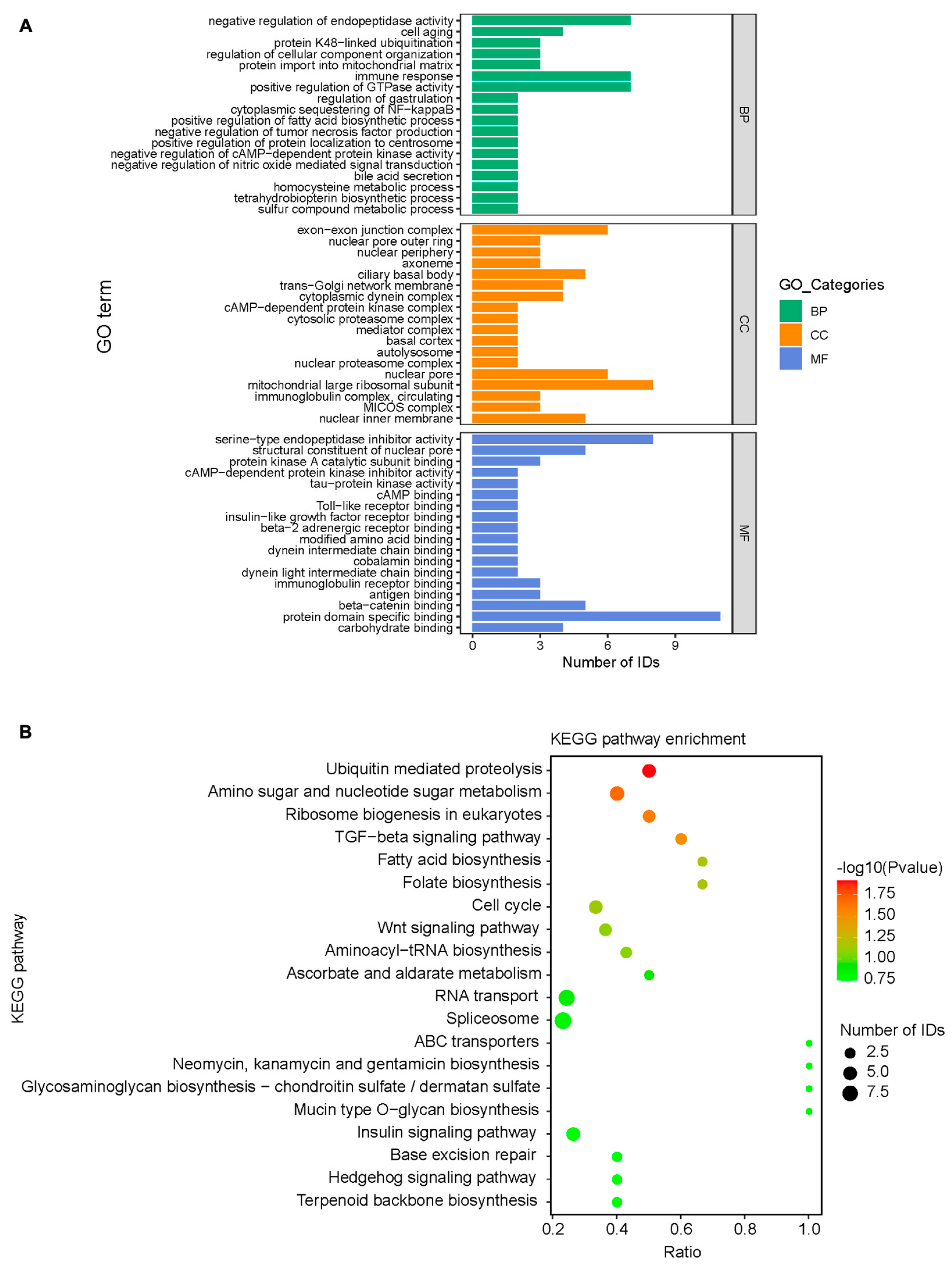 Viruses 15 01246 g006 Viruses 15 01246 g006