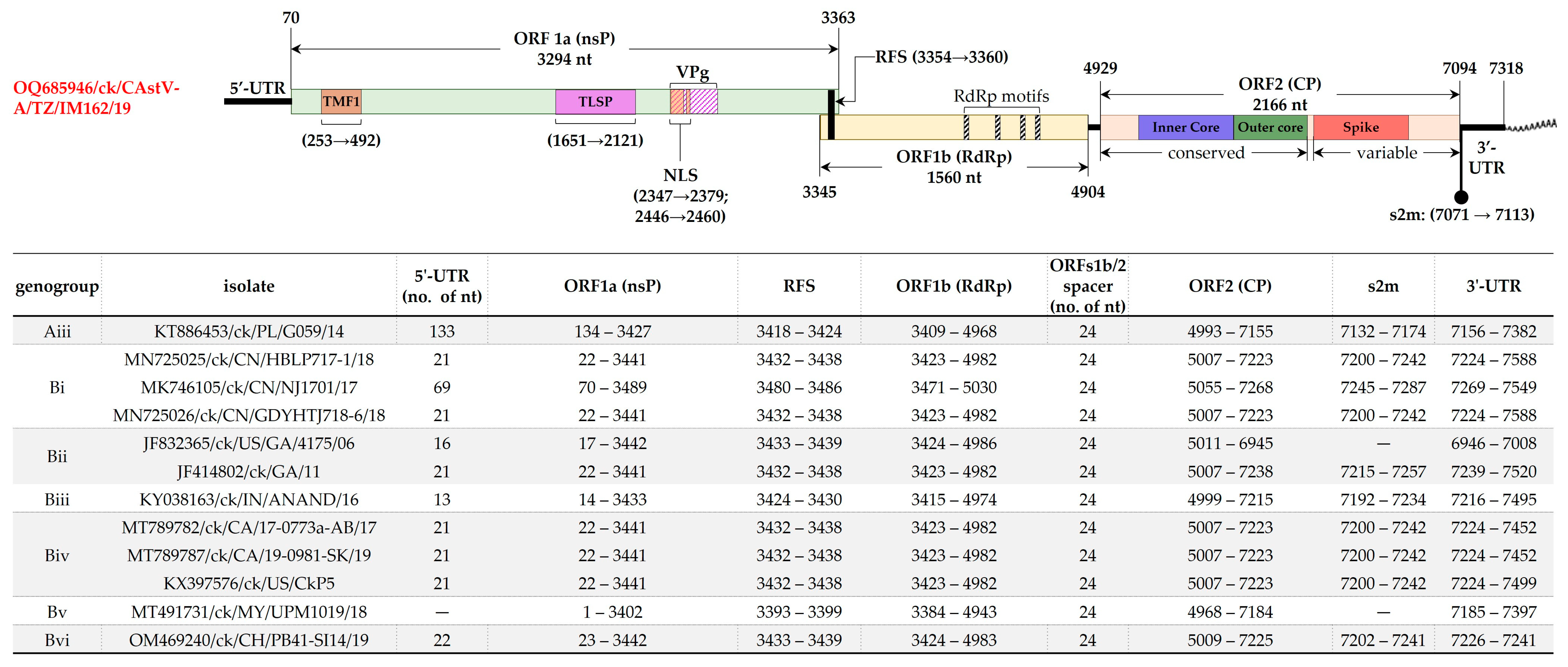 Viruses 15 01247 g004 Viruses 15 01247 g004