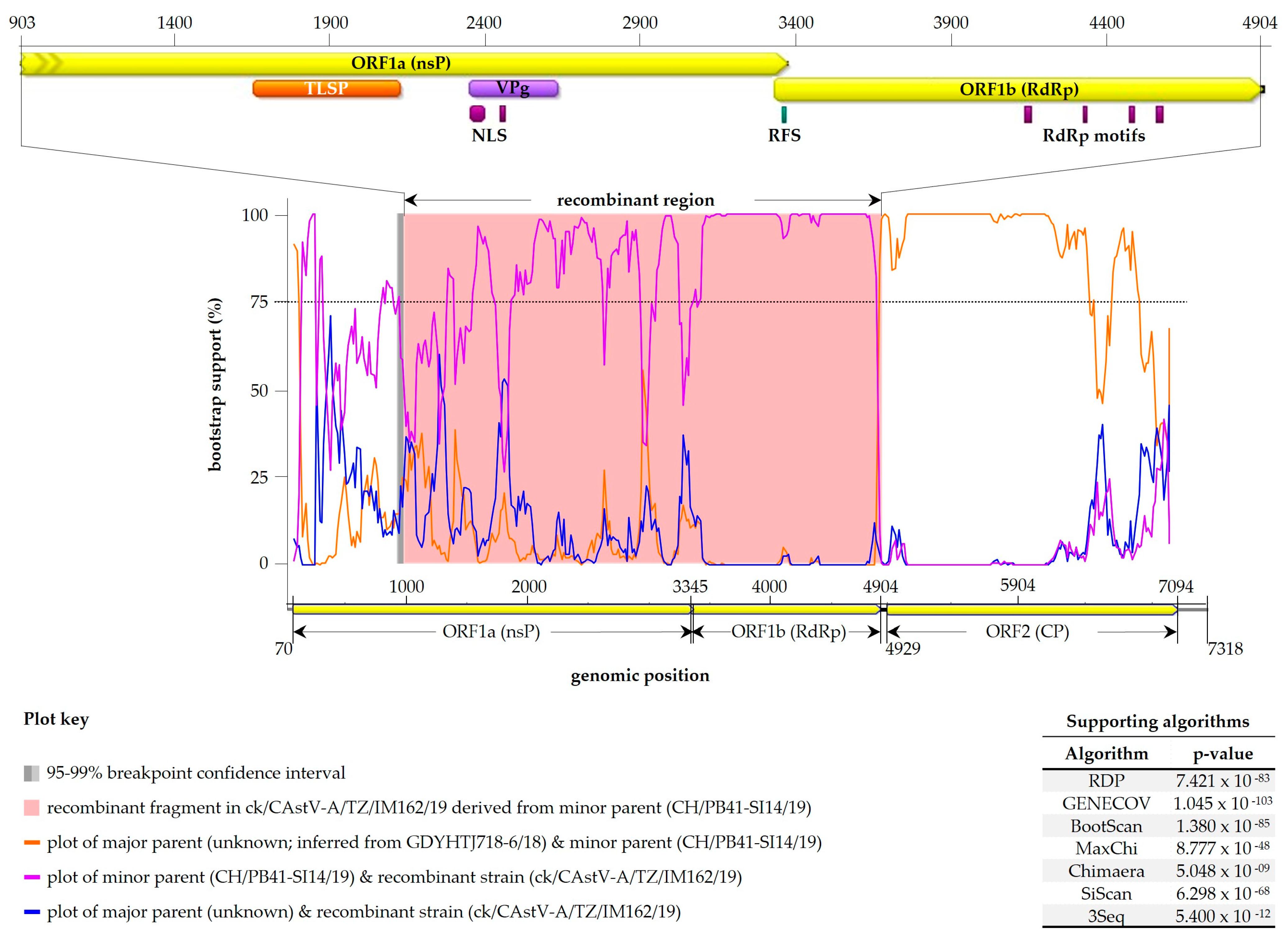 Viruses 15 01247 g006 Viruses 15 01247 g006