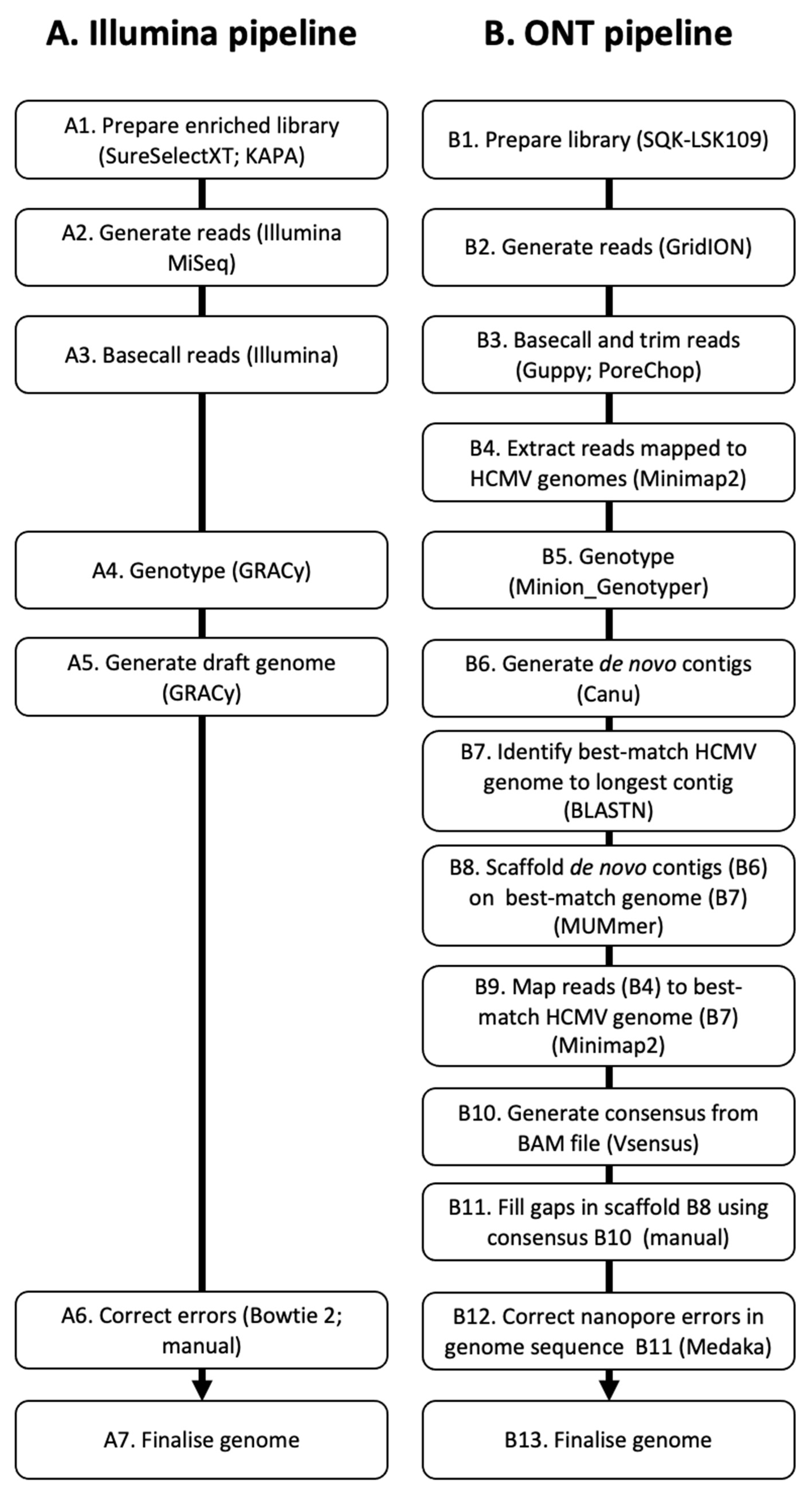 Viruses 15 01248 g001