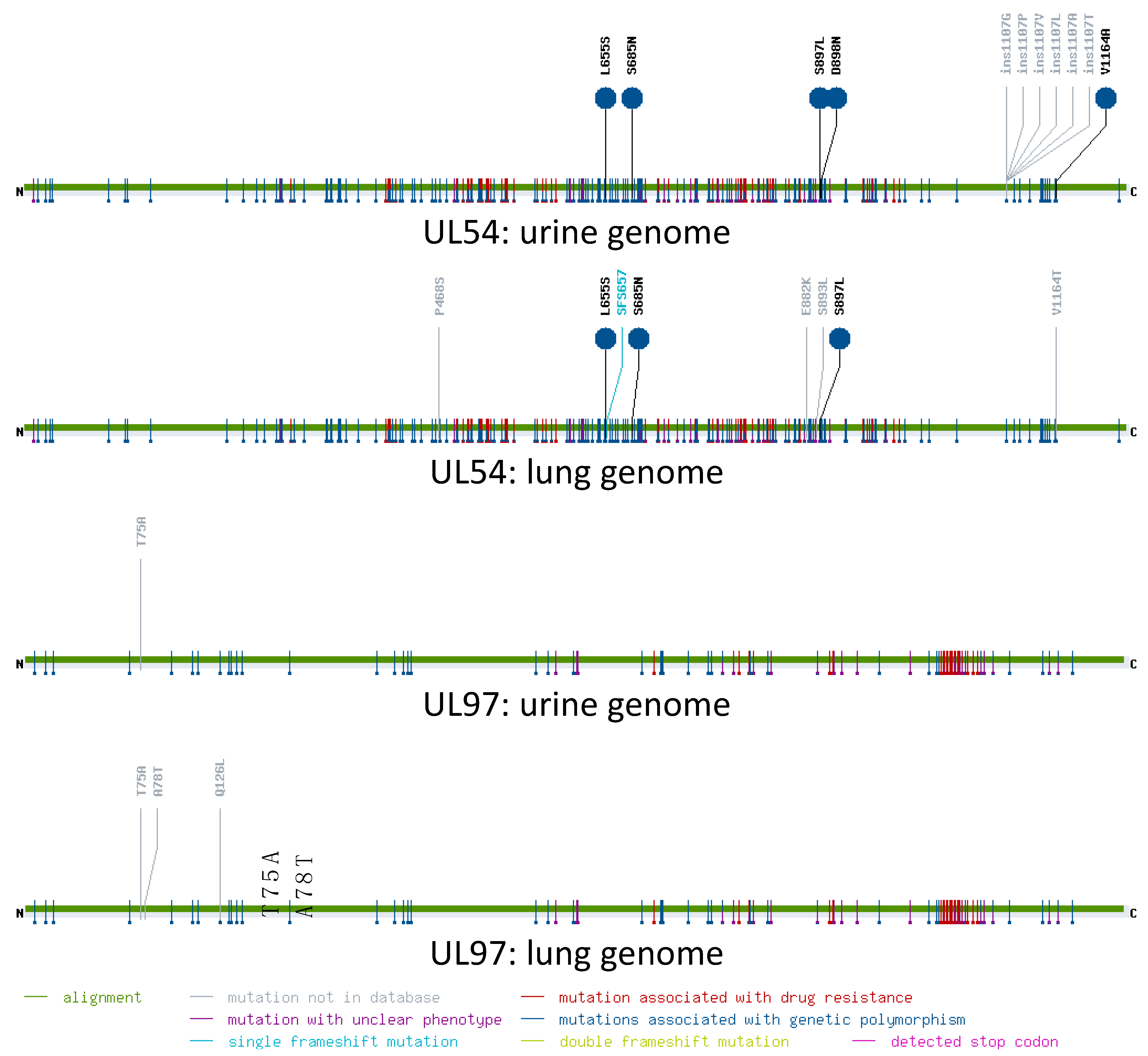 Viruses 15 01248 g002