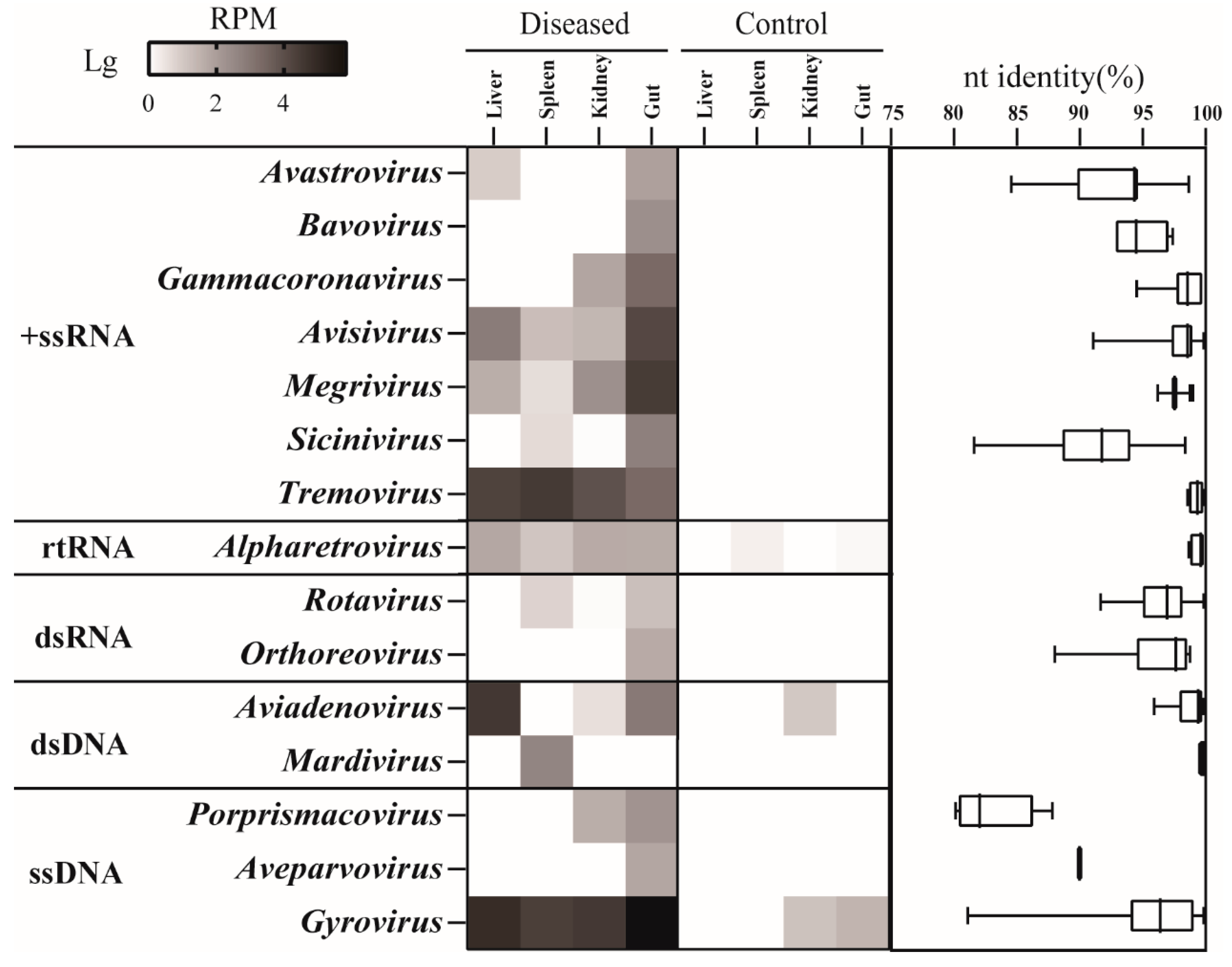 Viruses 15 01249 g002