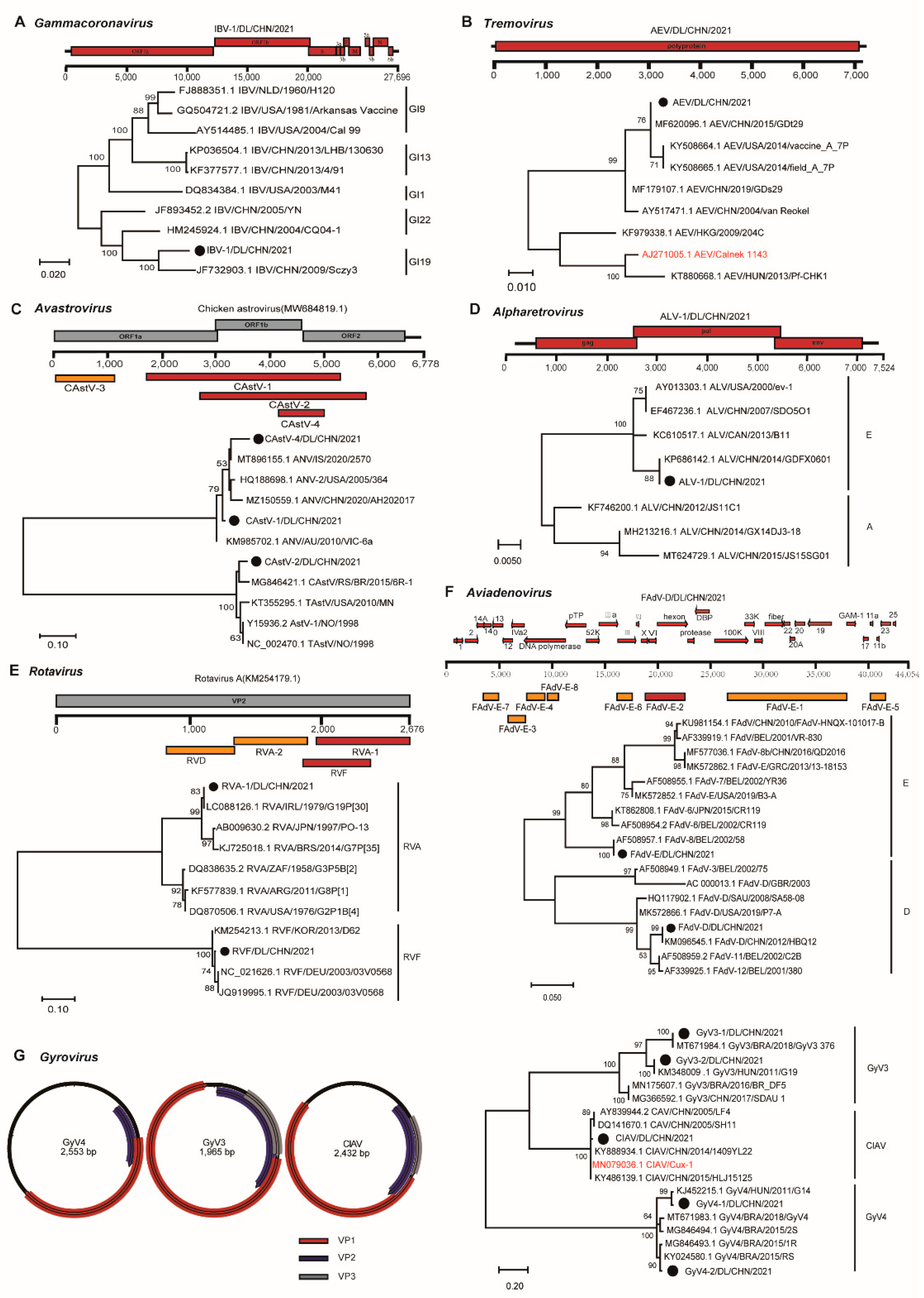 Viruses 15 01249 g003