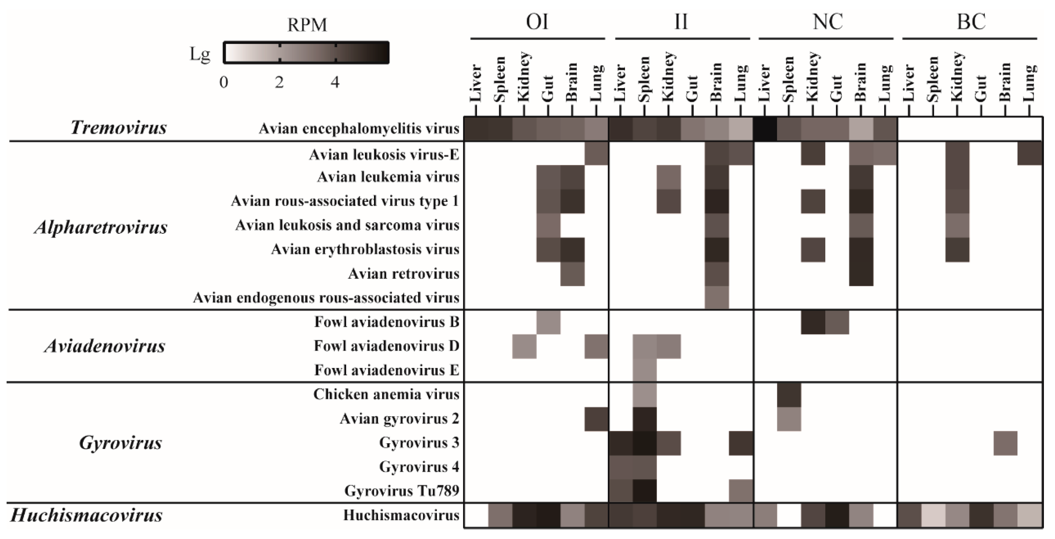 Viruses 15 01249 g004