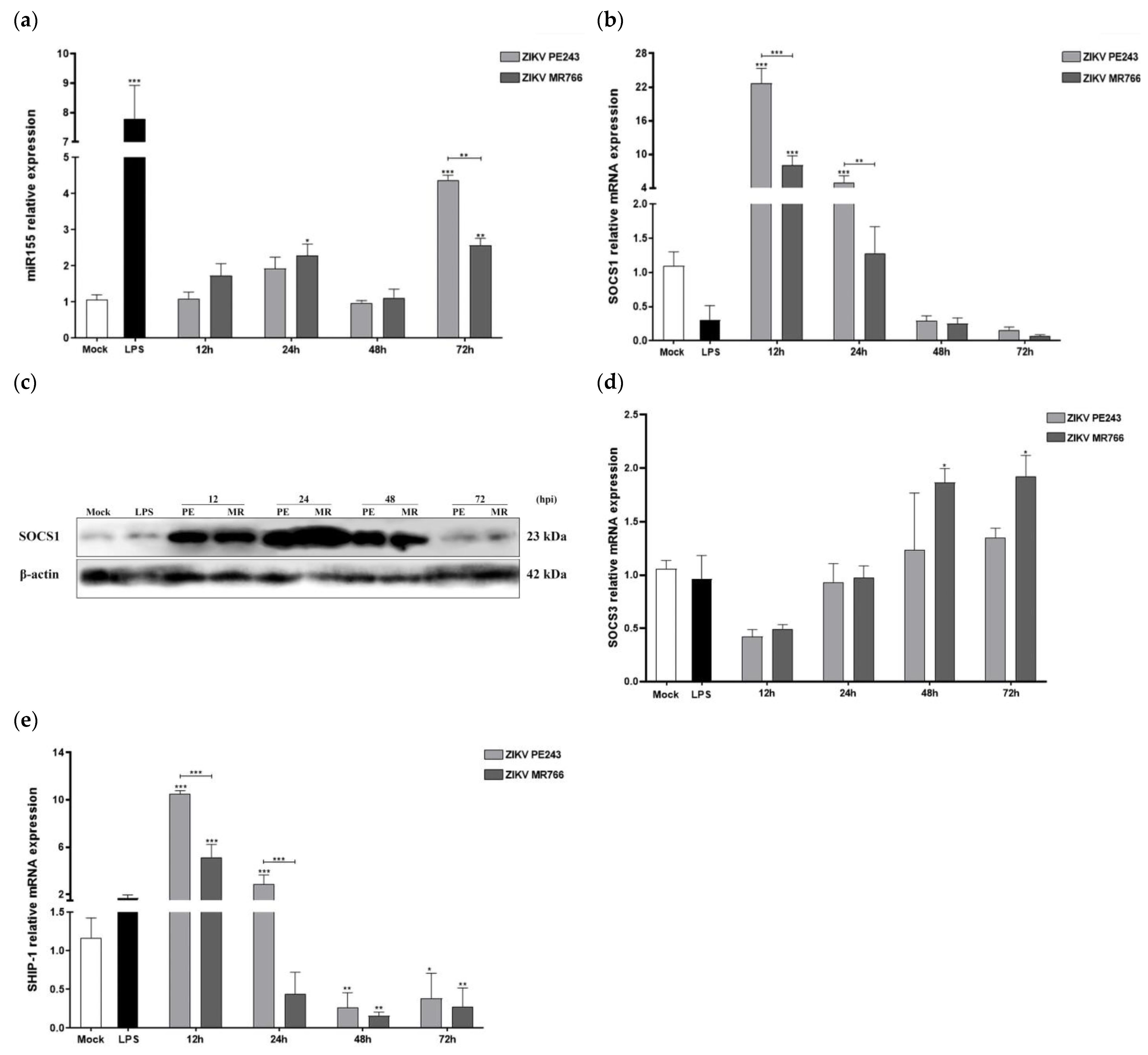 Viruses 15 01250 g004