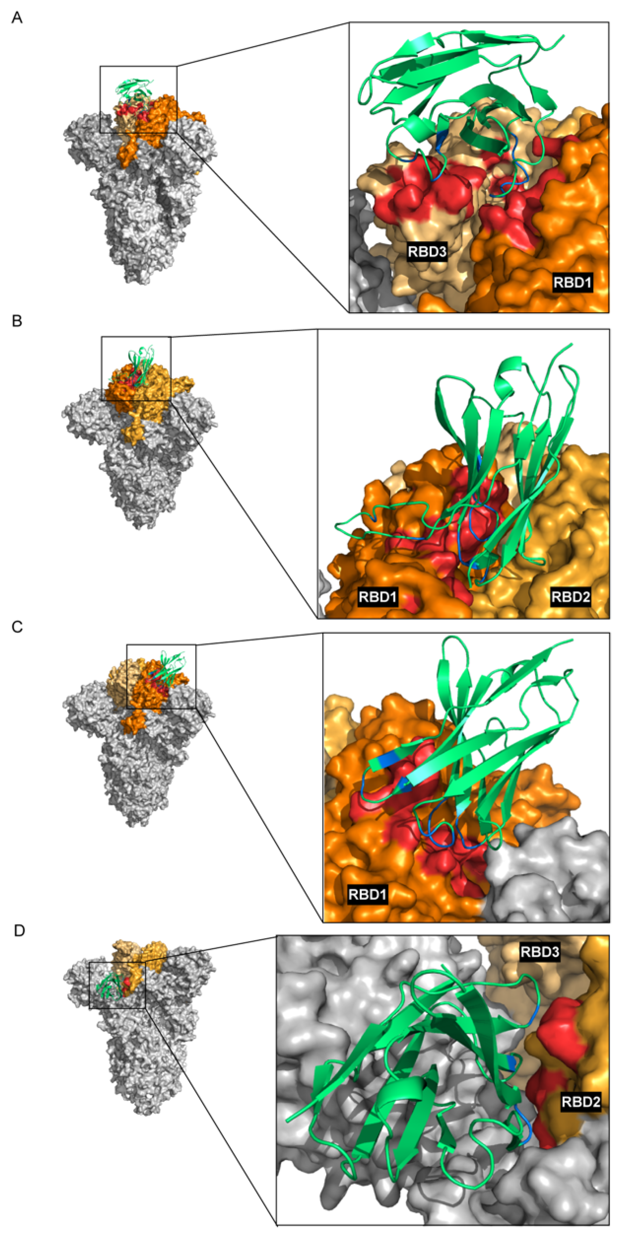 Viruses 15 01252 g007