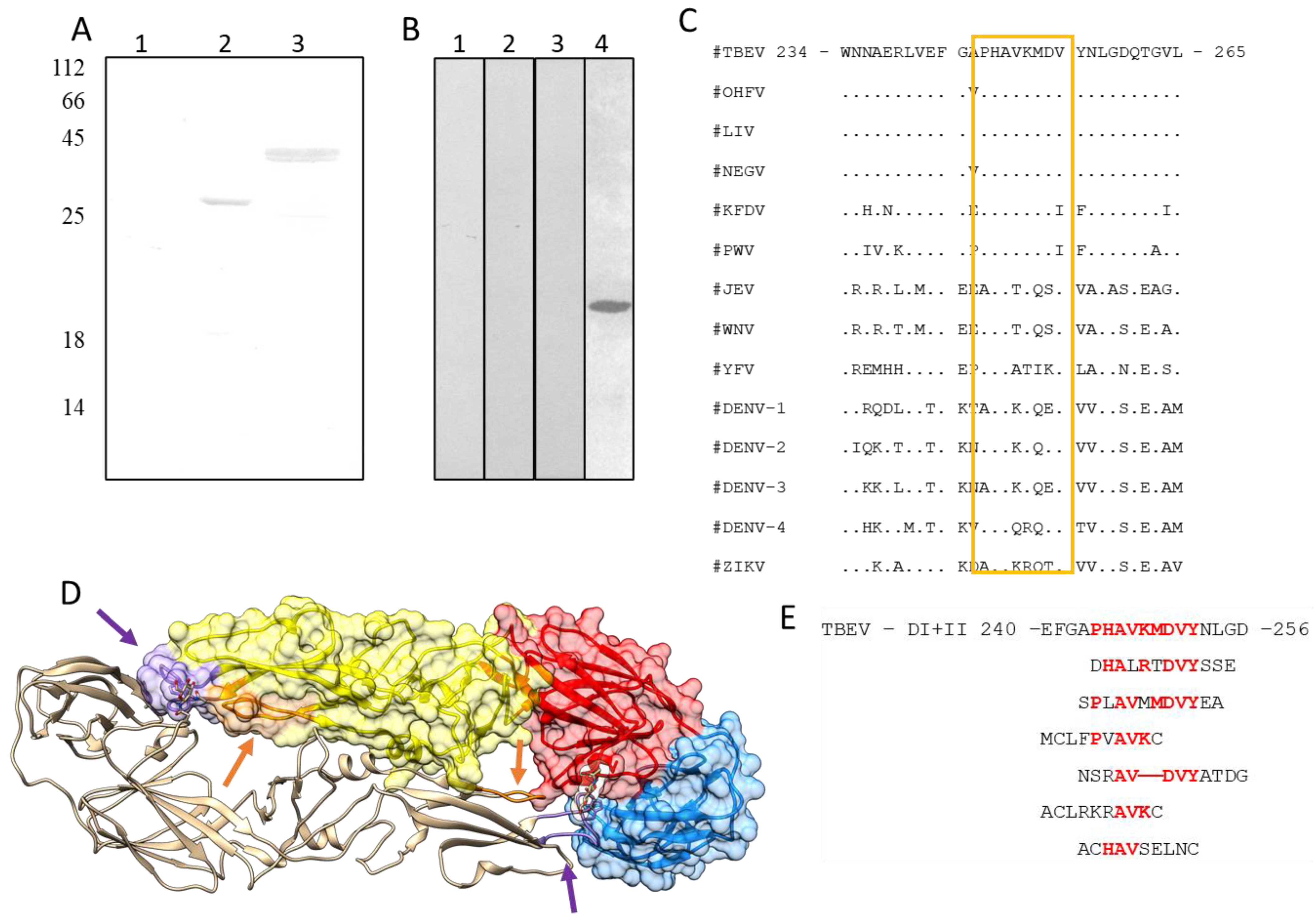 Viruses 15 01256 g002 Viruses 15 01256 g002