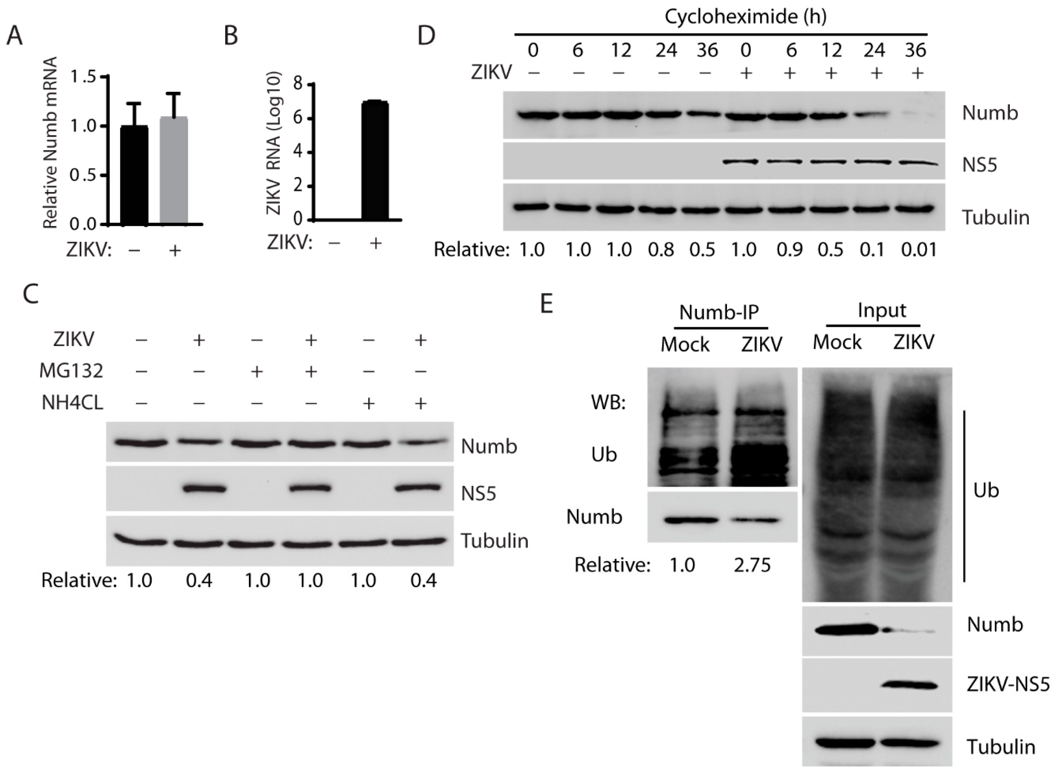 Viruses 15 01258 g003 Viruses 15 01258 g003