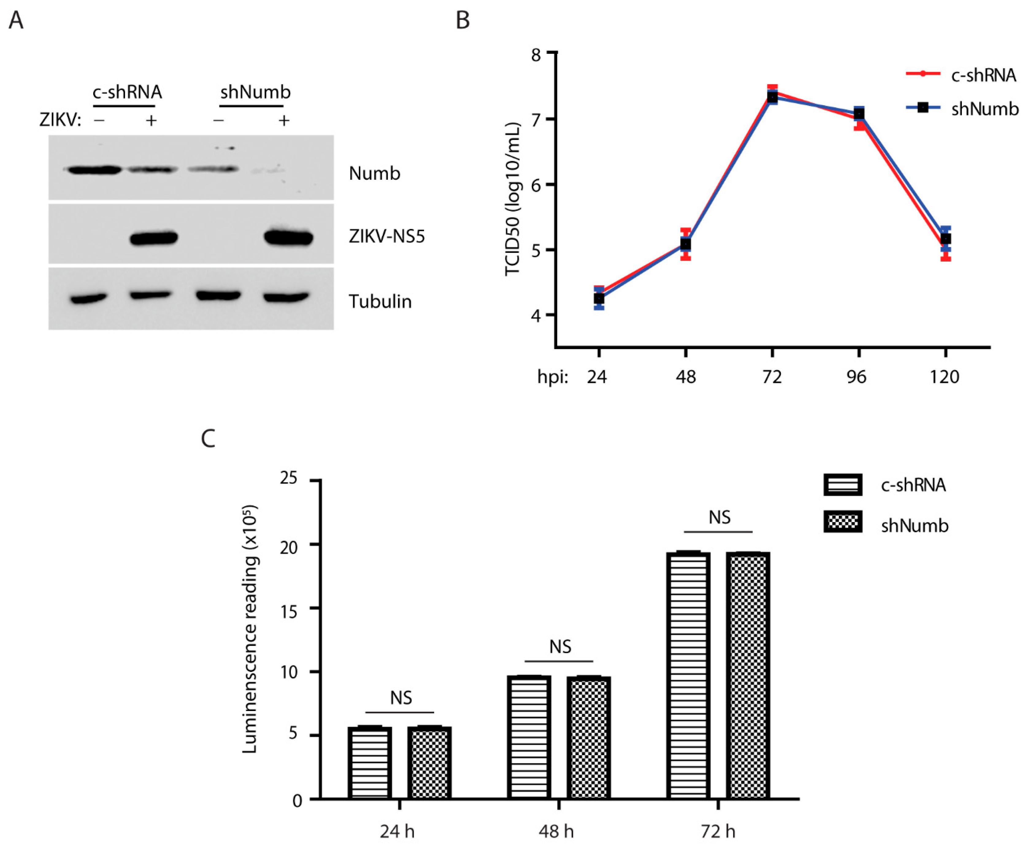 Viruses 15 01258 g005 Viruses 15 01258 g005