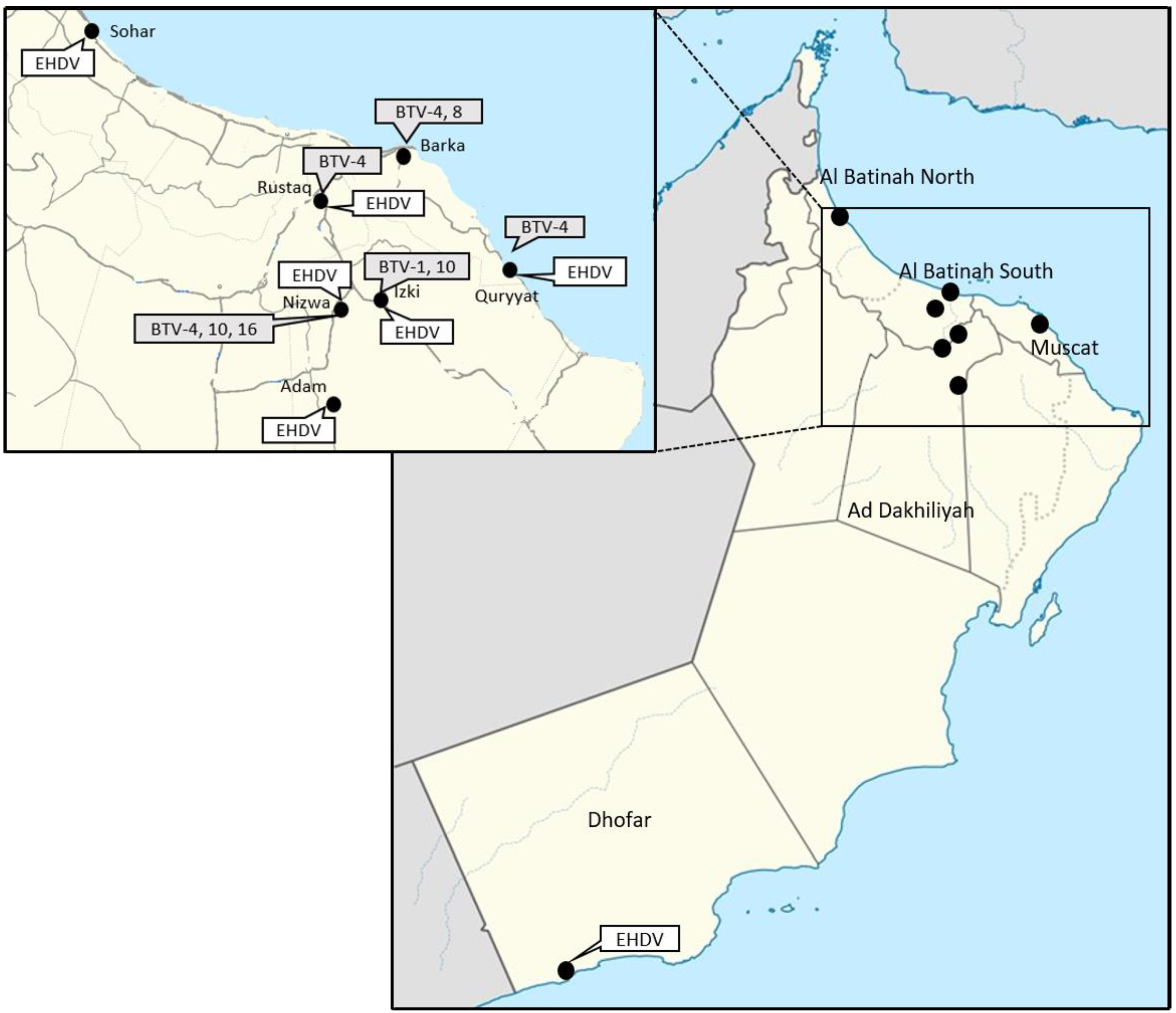 Viruses 15 01259 g001 Viruses 15 01259 g001