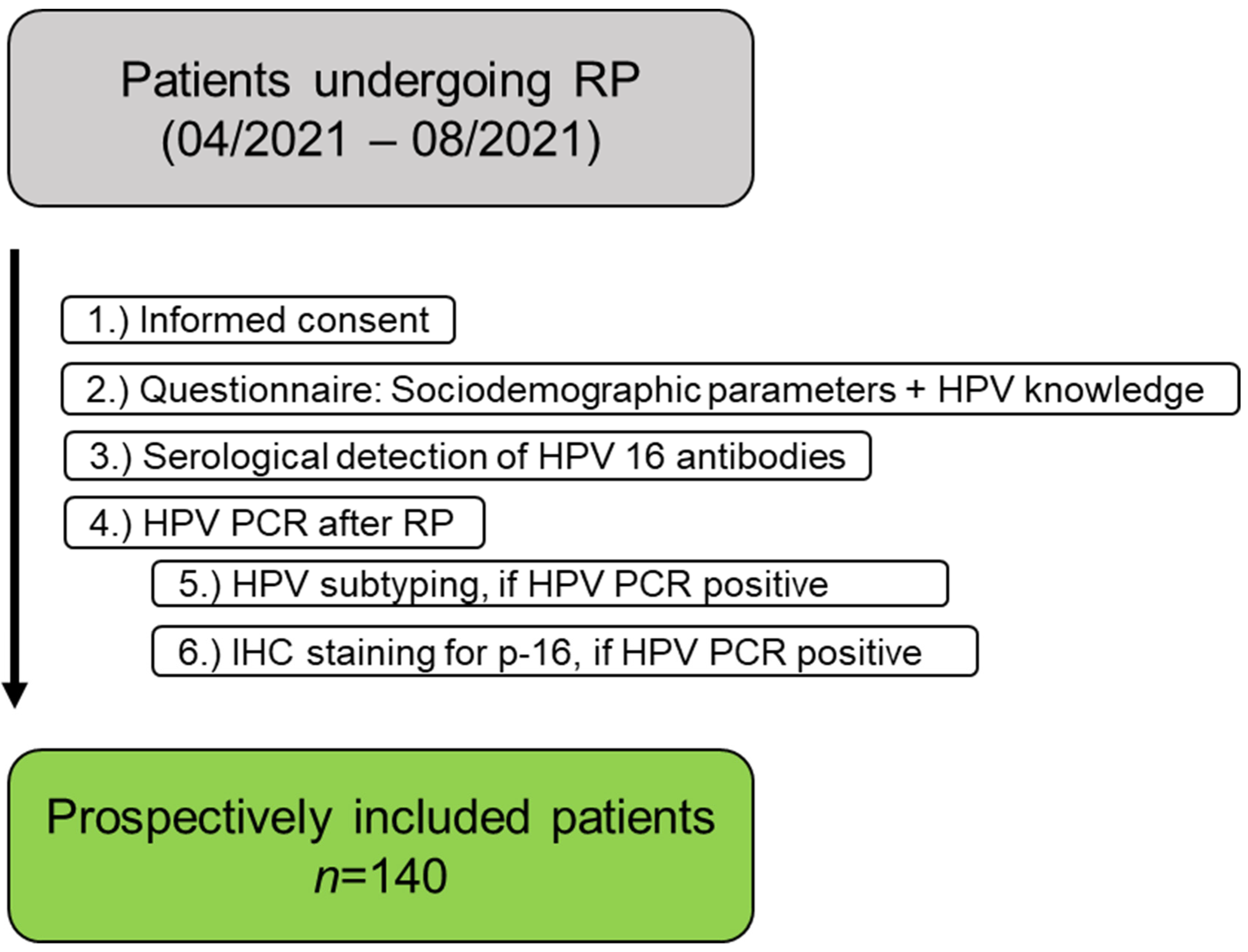 Viruses 15 01264 g001