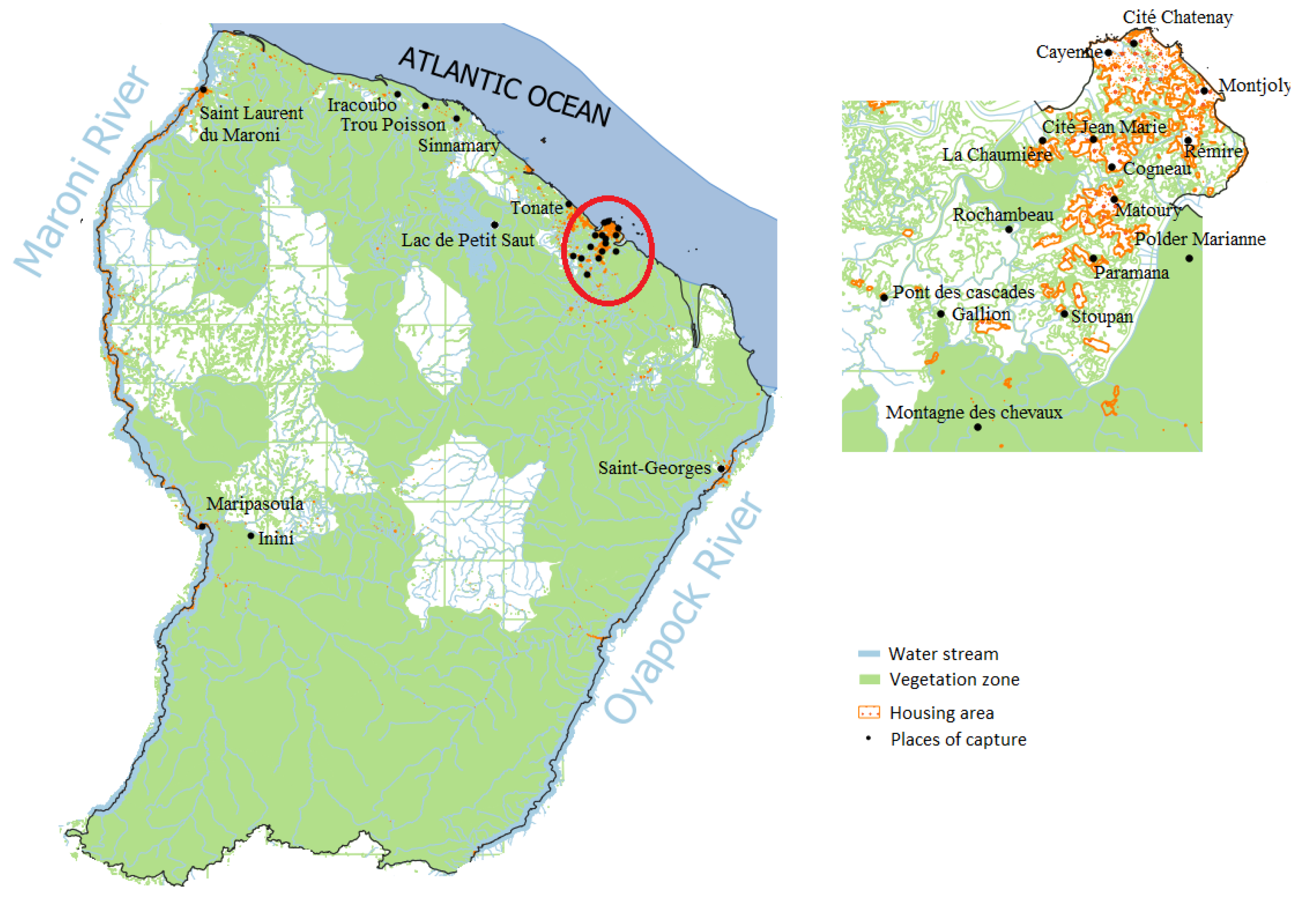 Viruses 15 01268 g005 Viruses 15 01268 g005