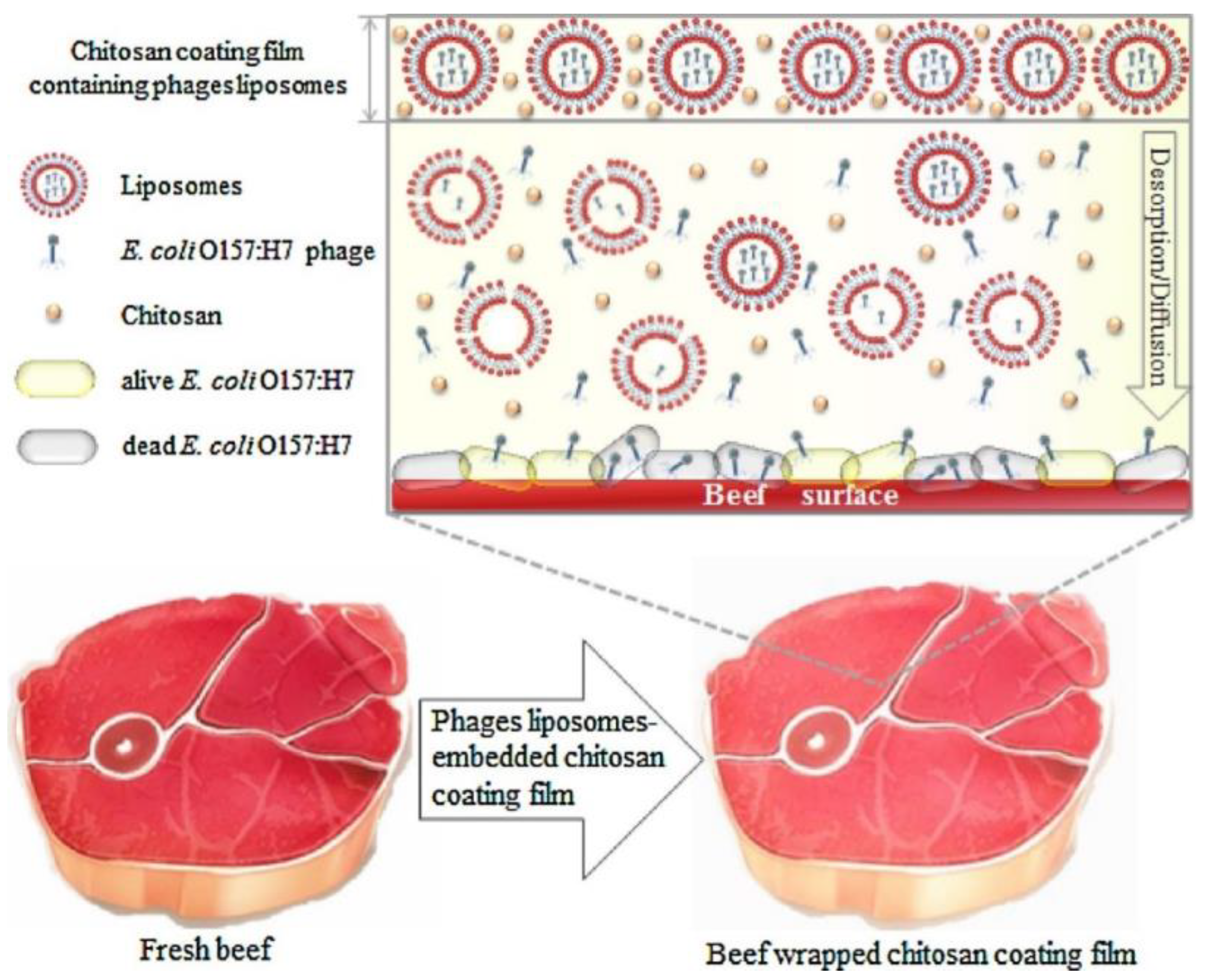 Viruses 15 01271 g003