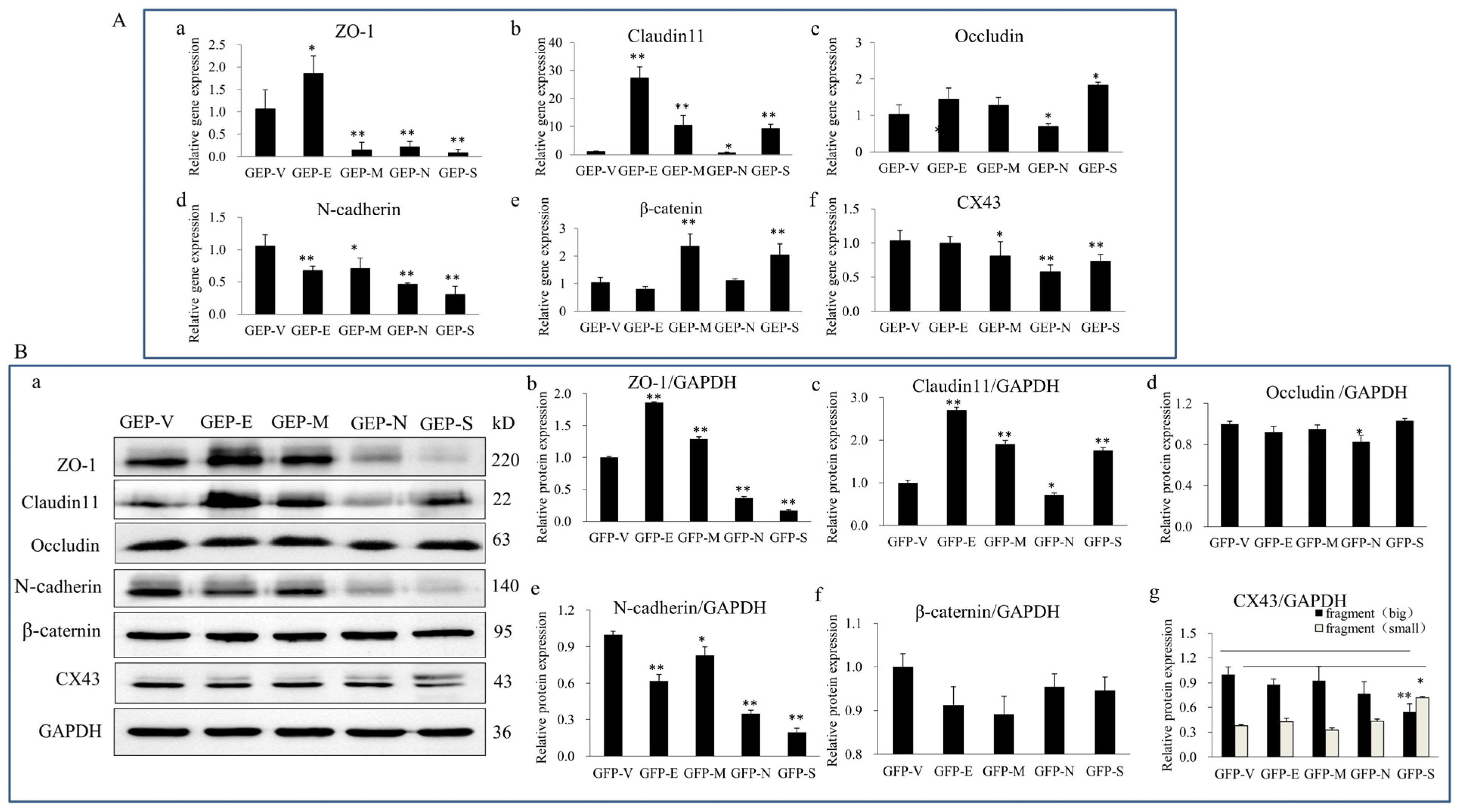 Viruses 15 01272 g002 Viruses 15 01272 g002