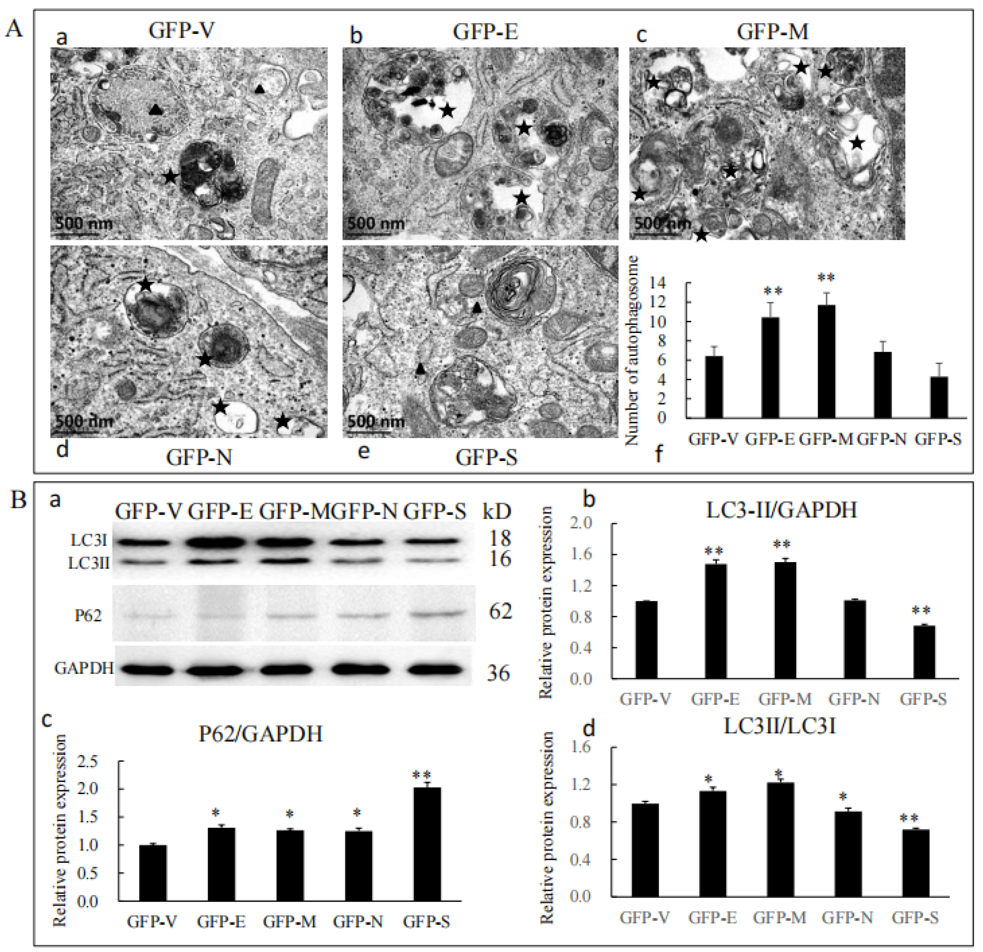 Viruses 15 01272 g004 Viruses 15 01272 g004