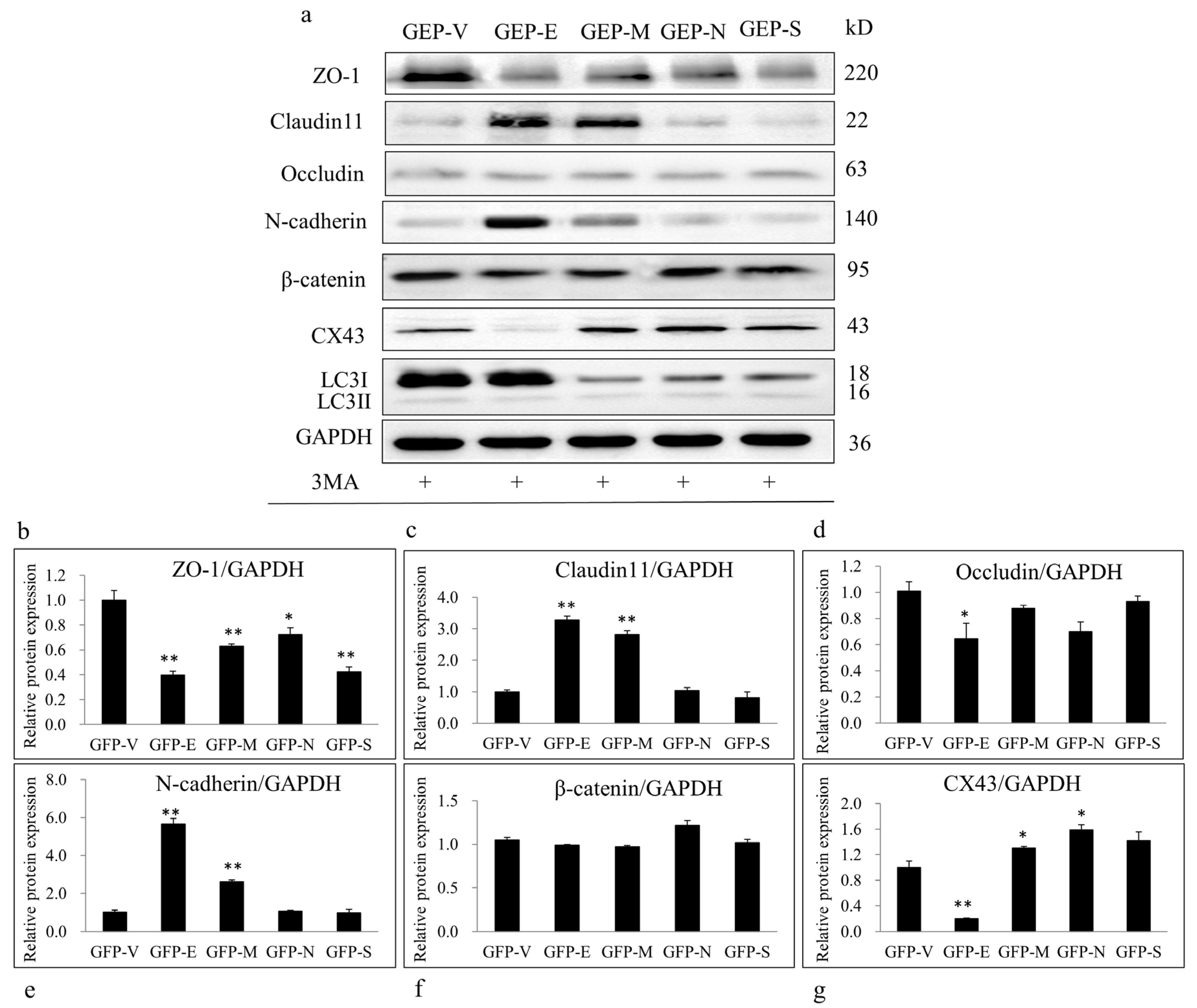 Viruses 15 01272 g005 Viruses 15 01272 g005