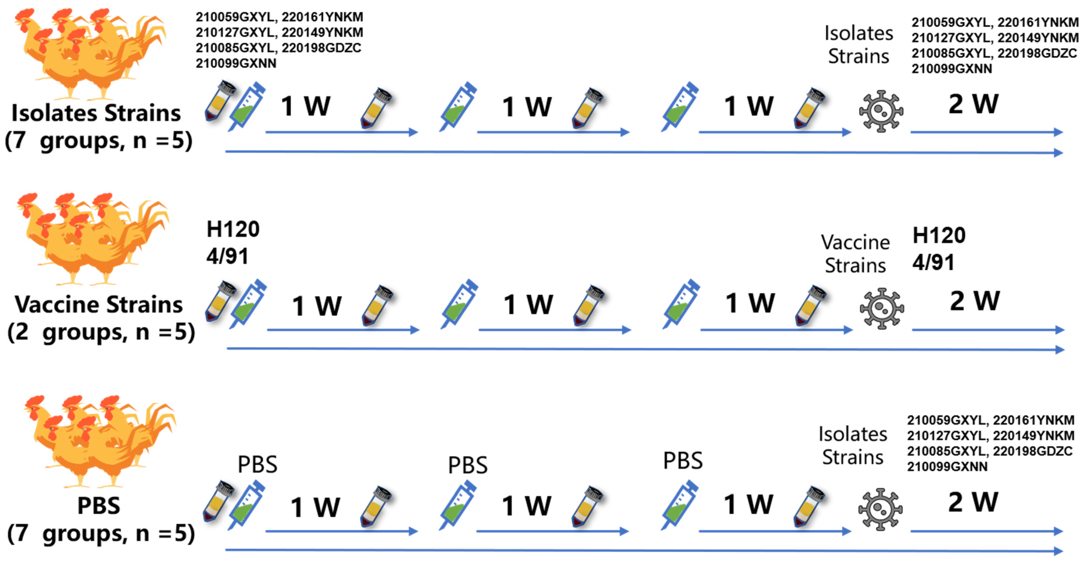 Viruses 15 01273 g001 Viruses 15 01273 g001