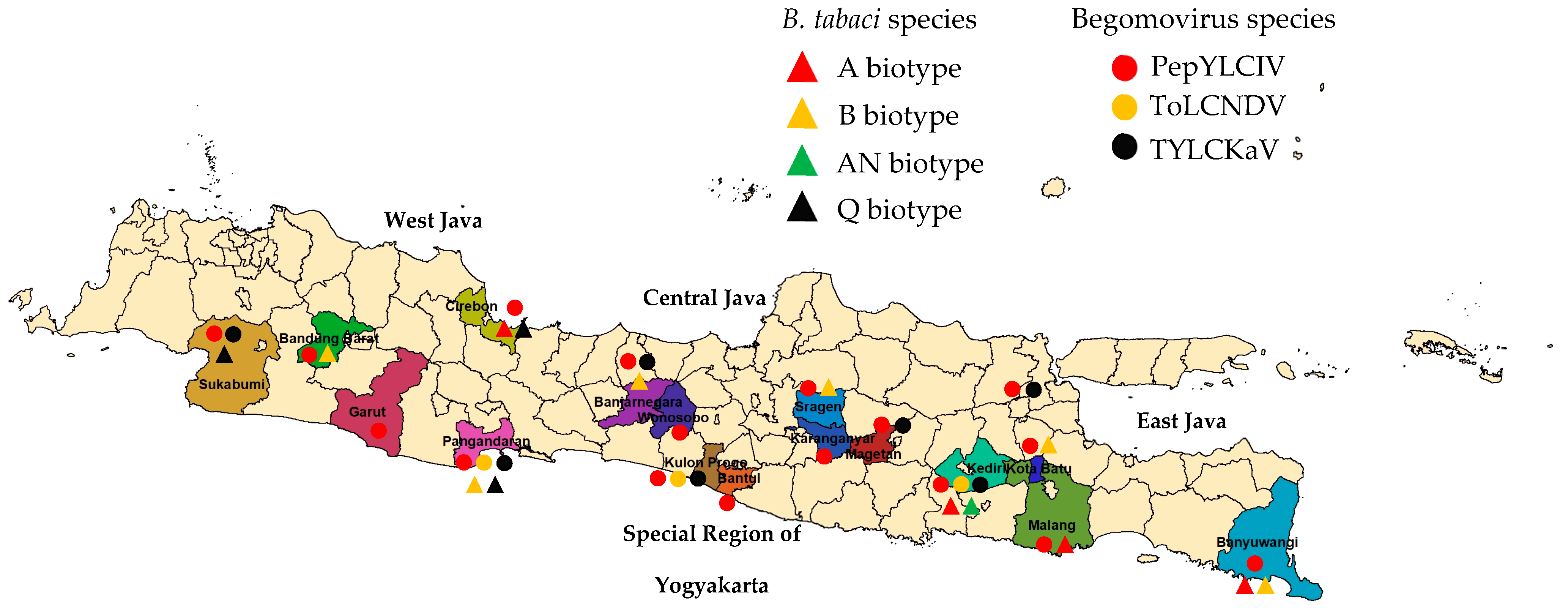 Viruses 15 01278 g001