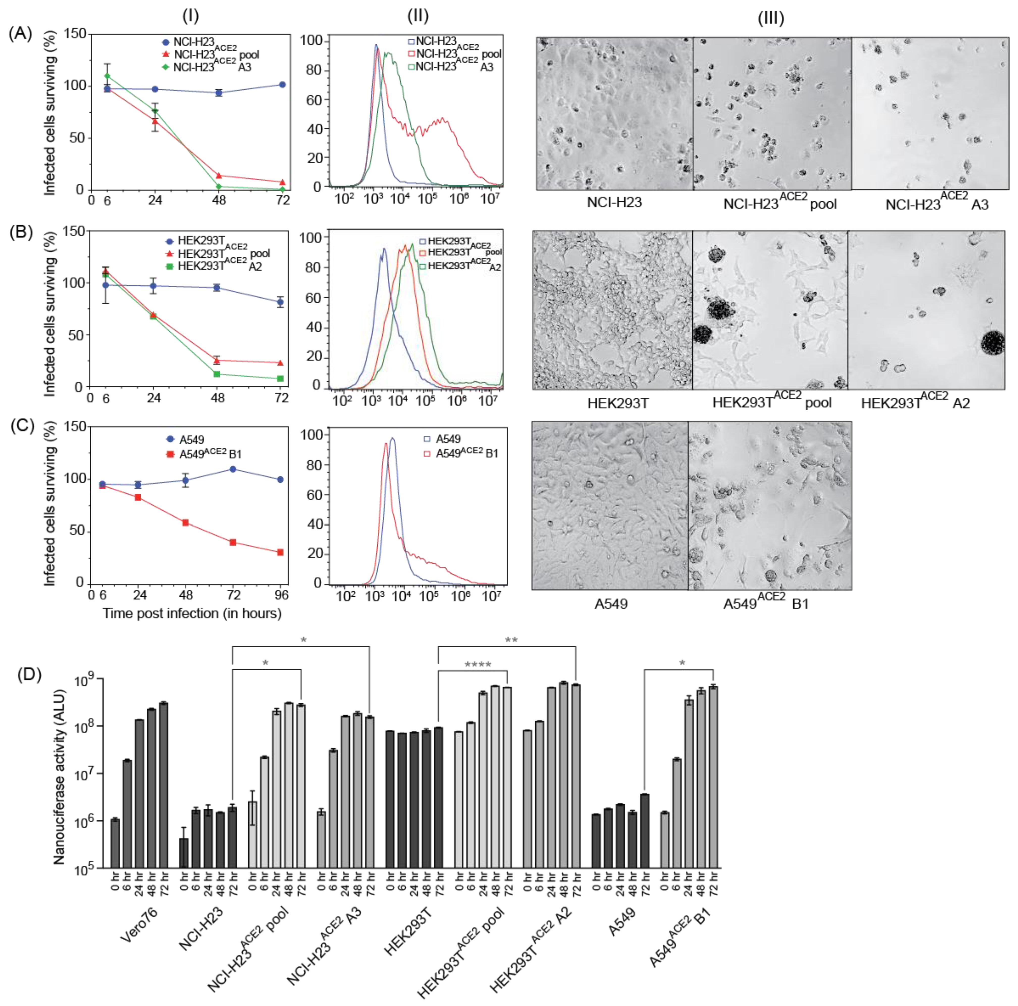 Viruses 15 01281 g003
