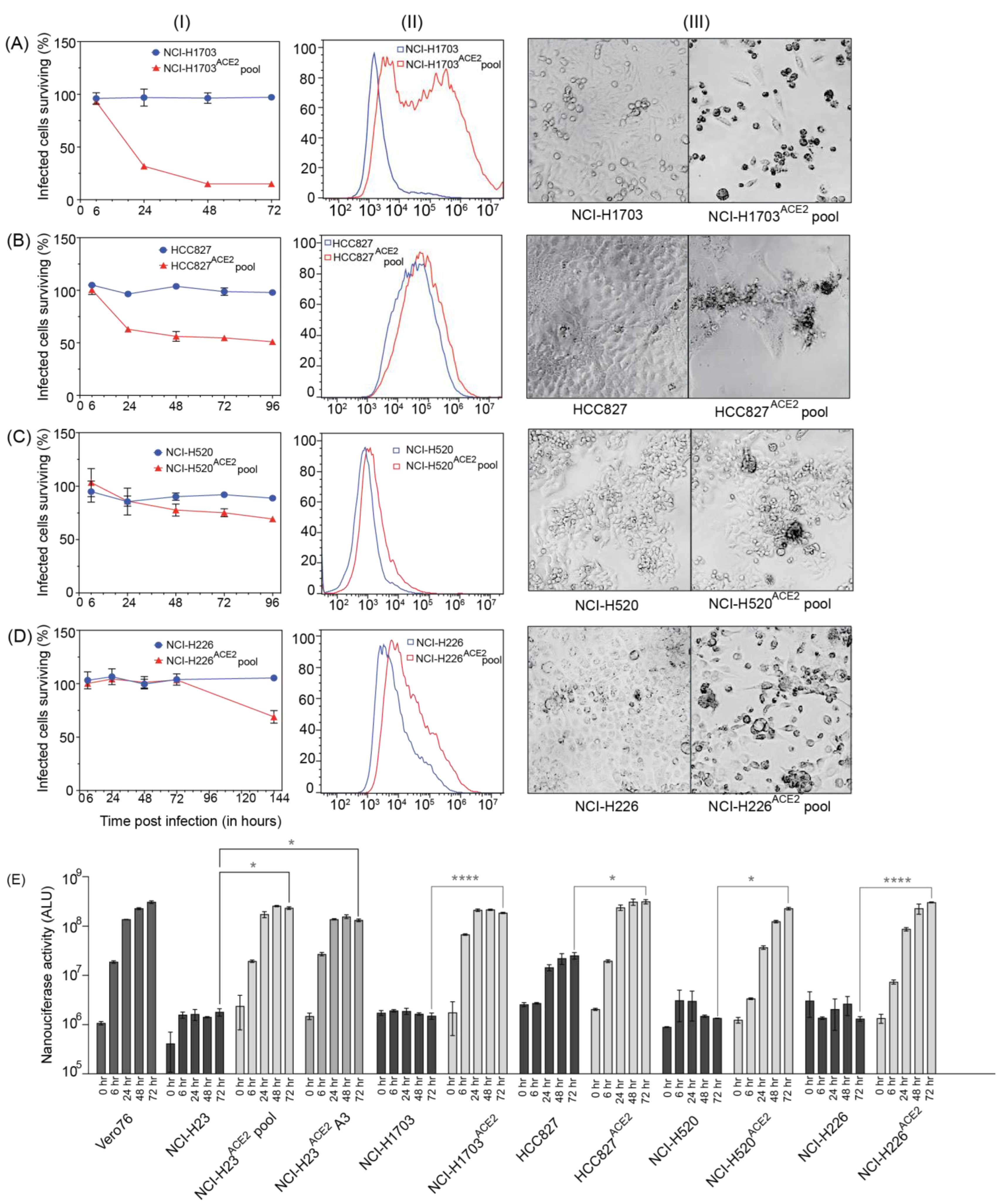 Viruses 15 01281 g004
