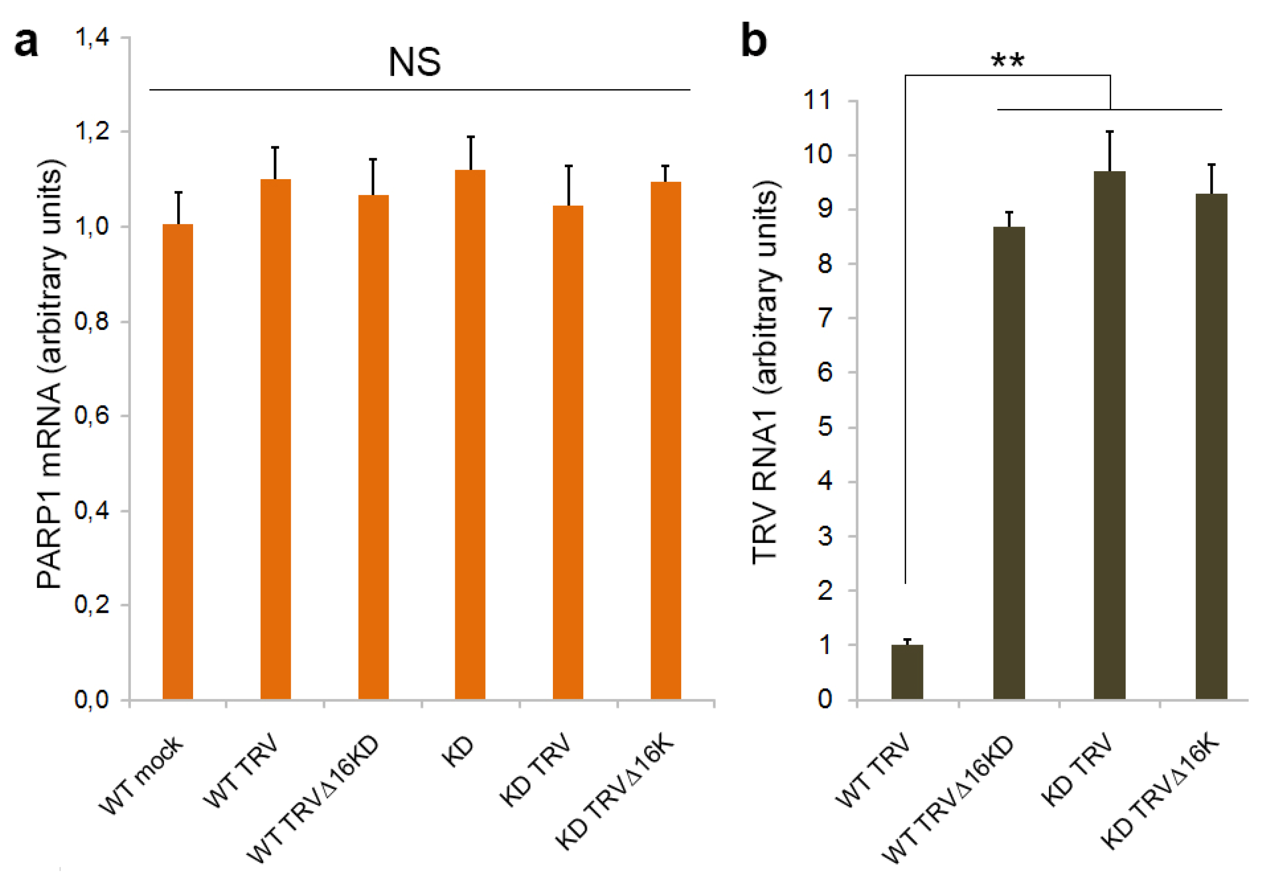 Viruses 15 01282 g001 Viruses 15 01282 g001