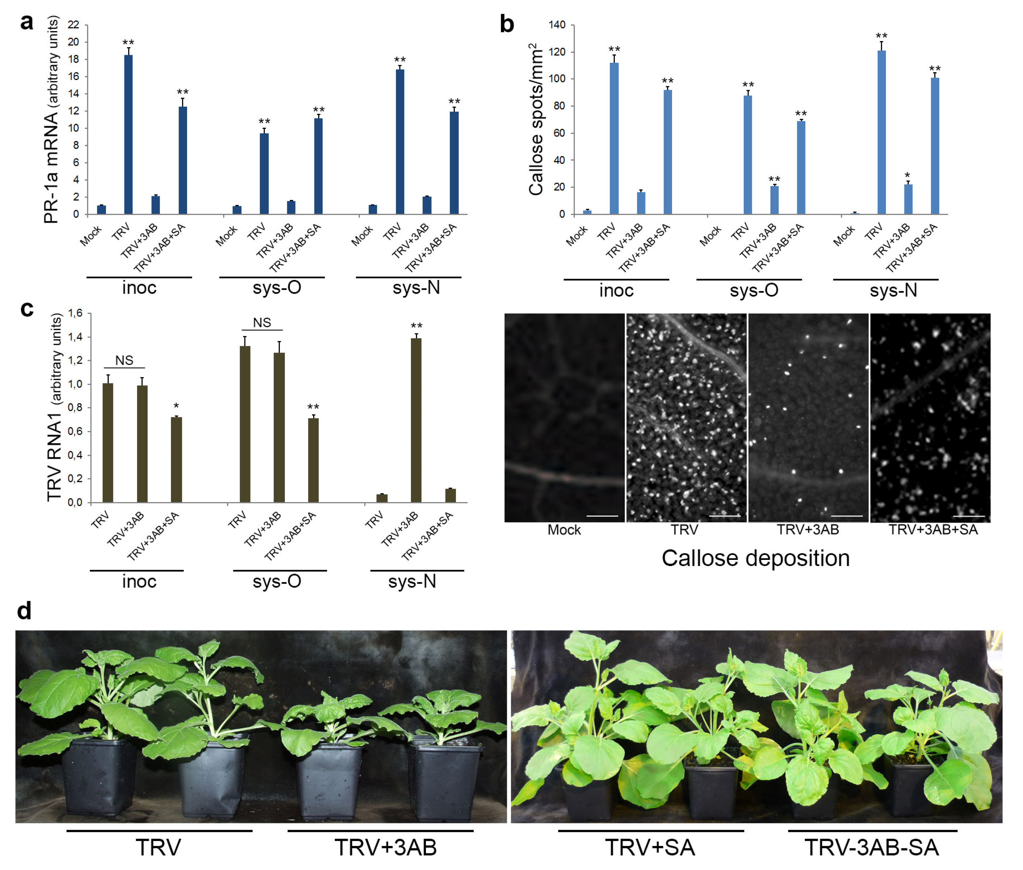 Viruses 15 01282 g007 Viruses 15 01282 g007