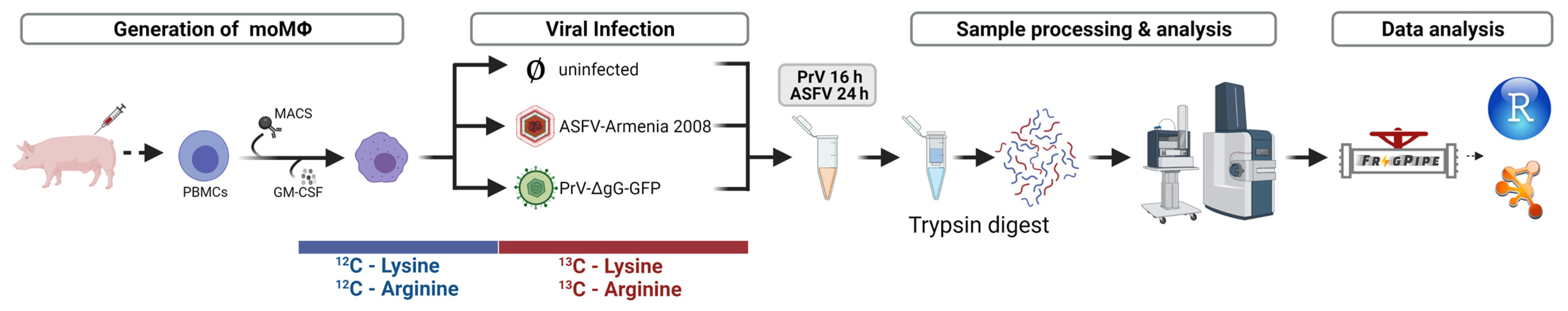 Viruses 15 01283 g001 Viruses 15 01283 g001