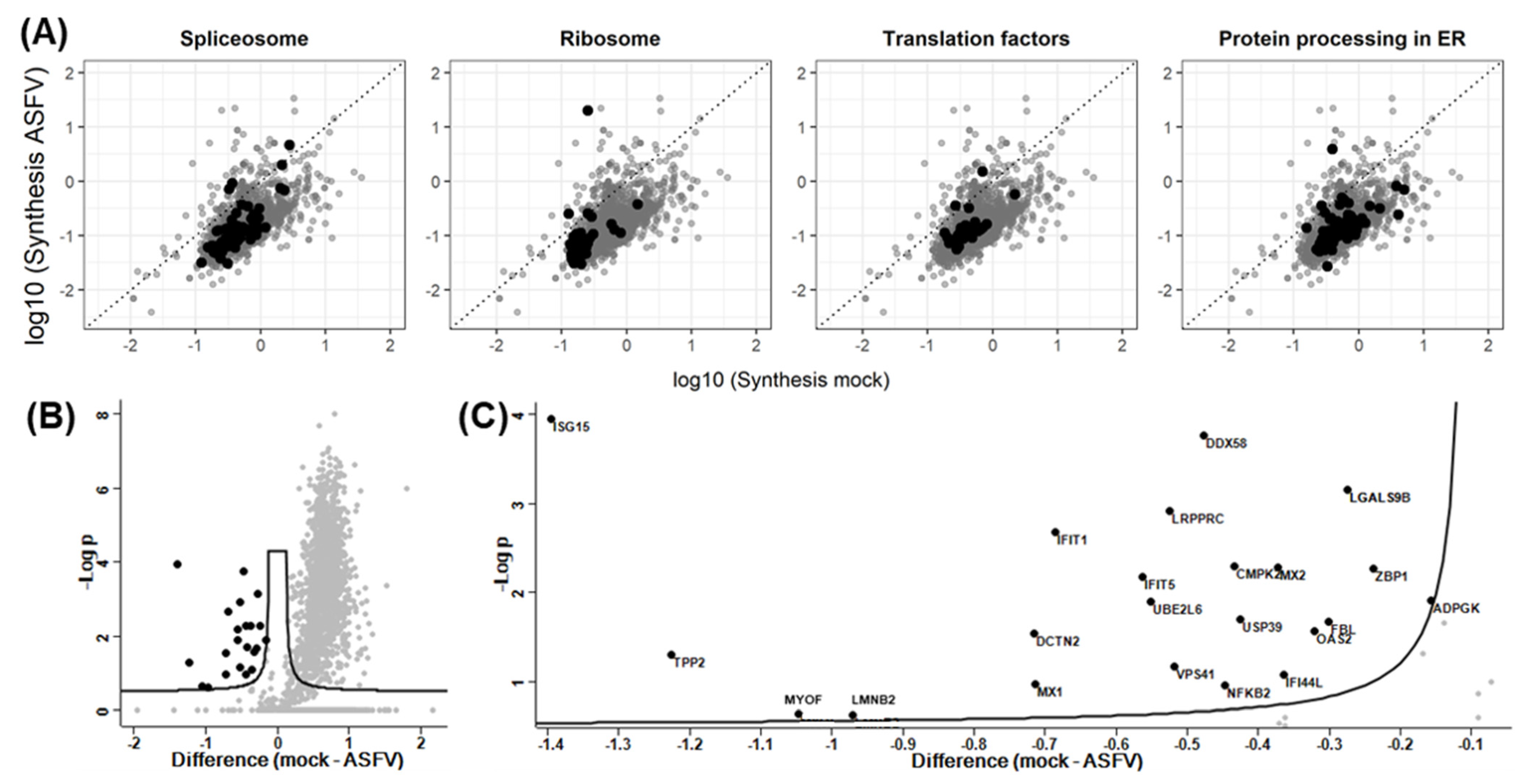 Viruses 15 01283 g003 Viruses 15 01283 g003