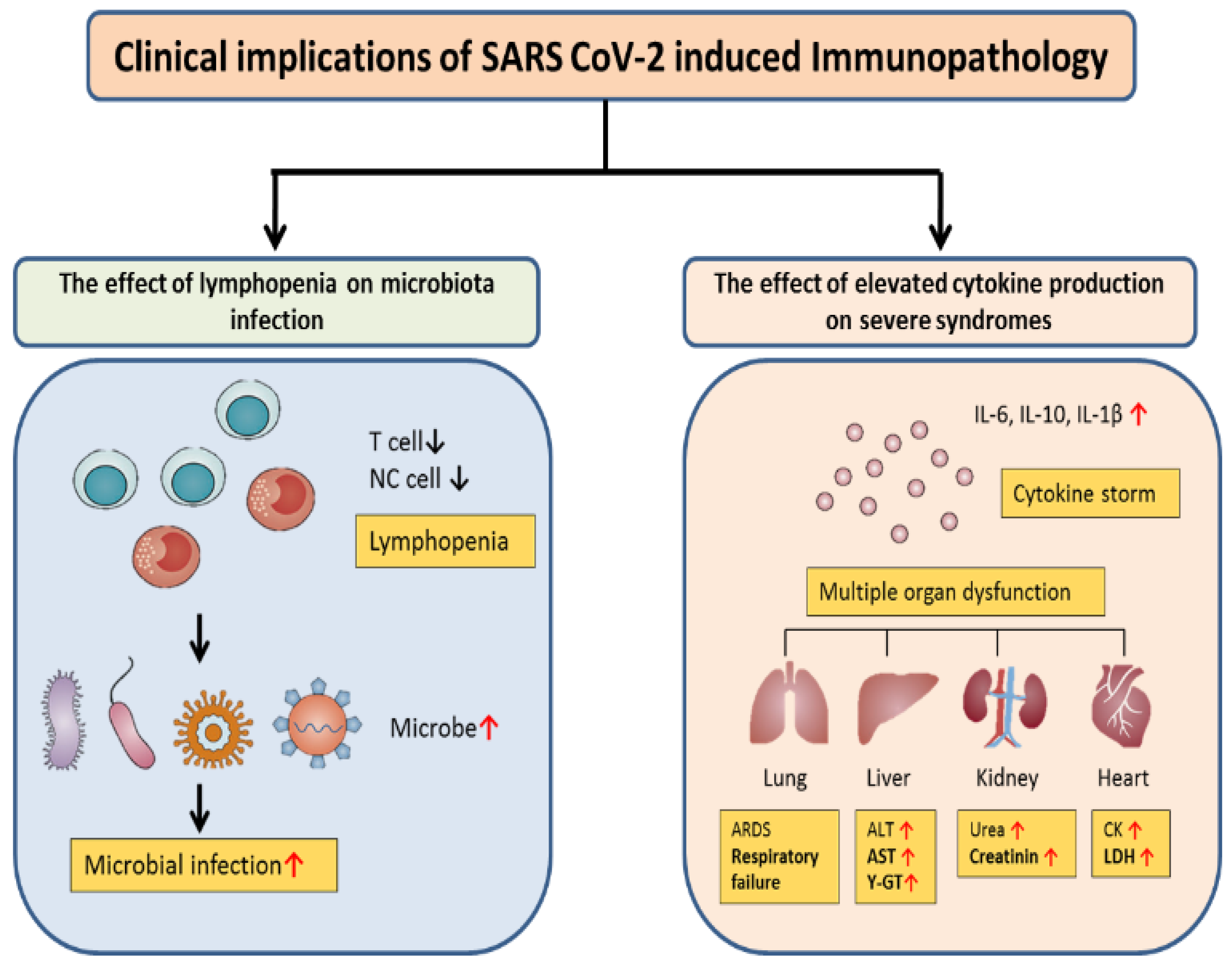 Viruses 15 01287 g003