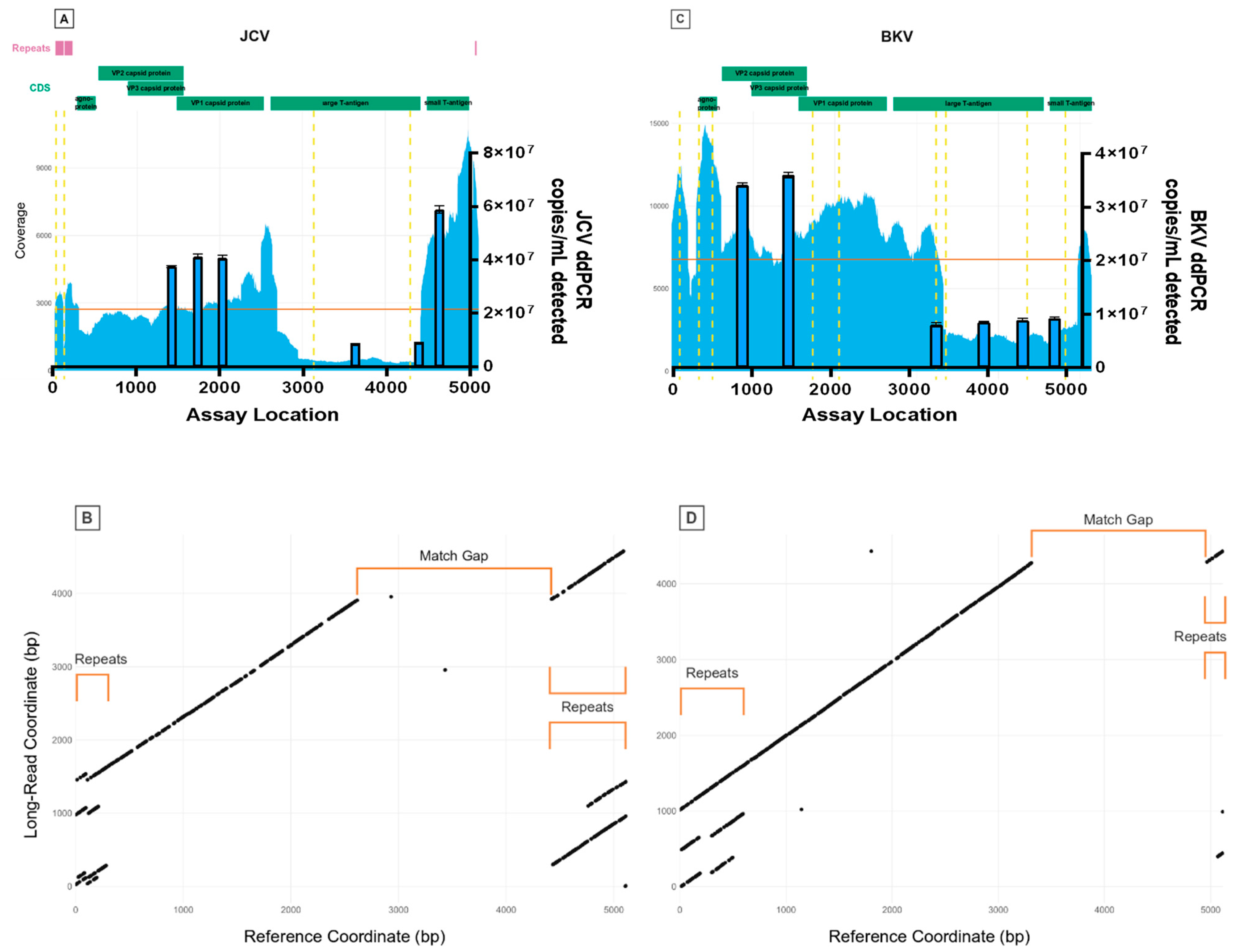 Viruses 15 01289 g001
