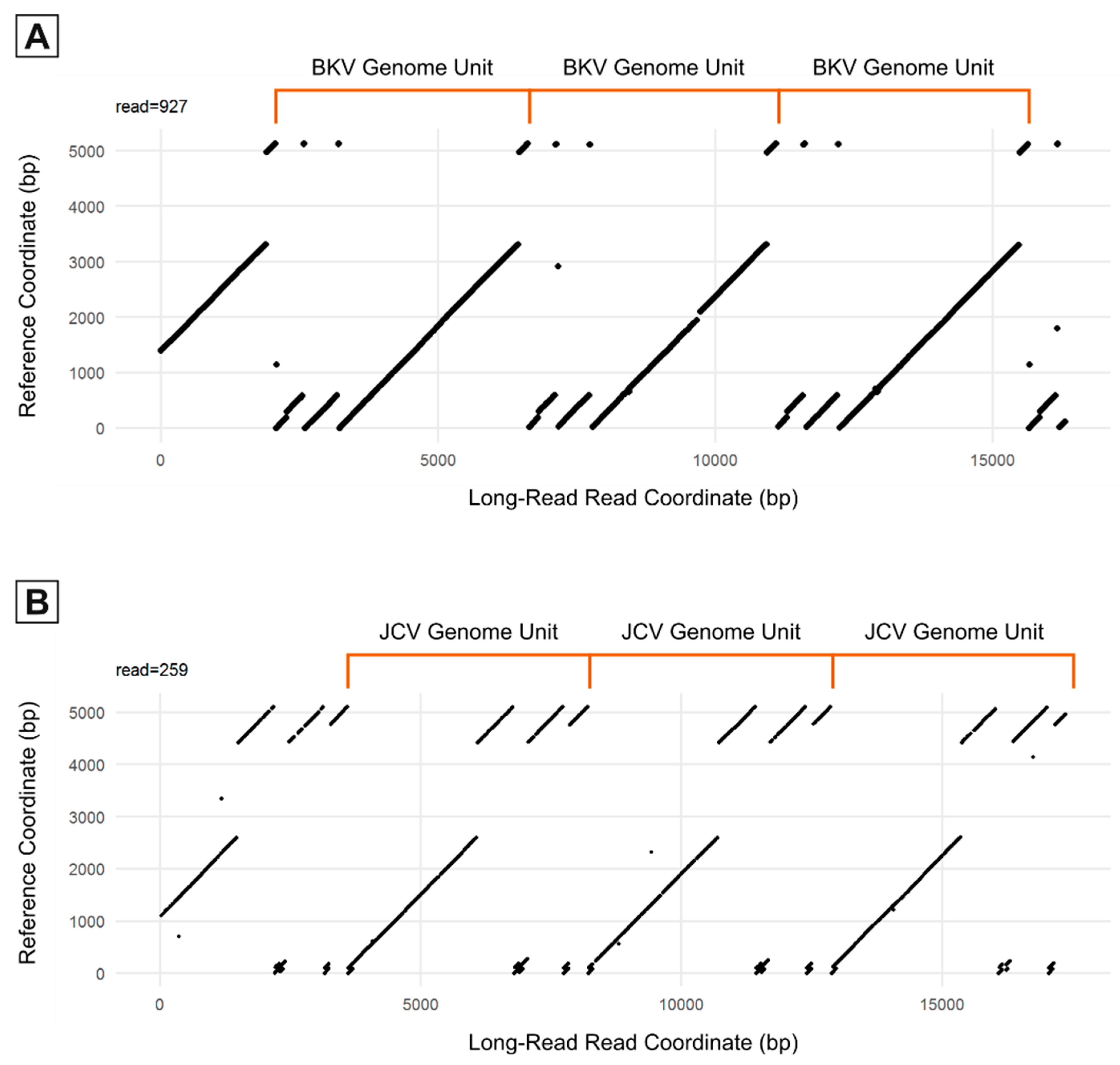 Viruses 15 01289 g003