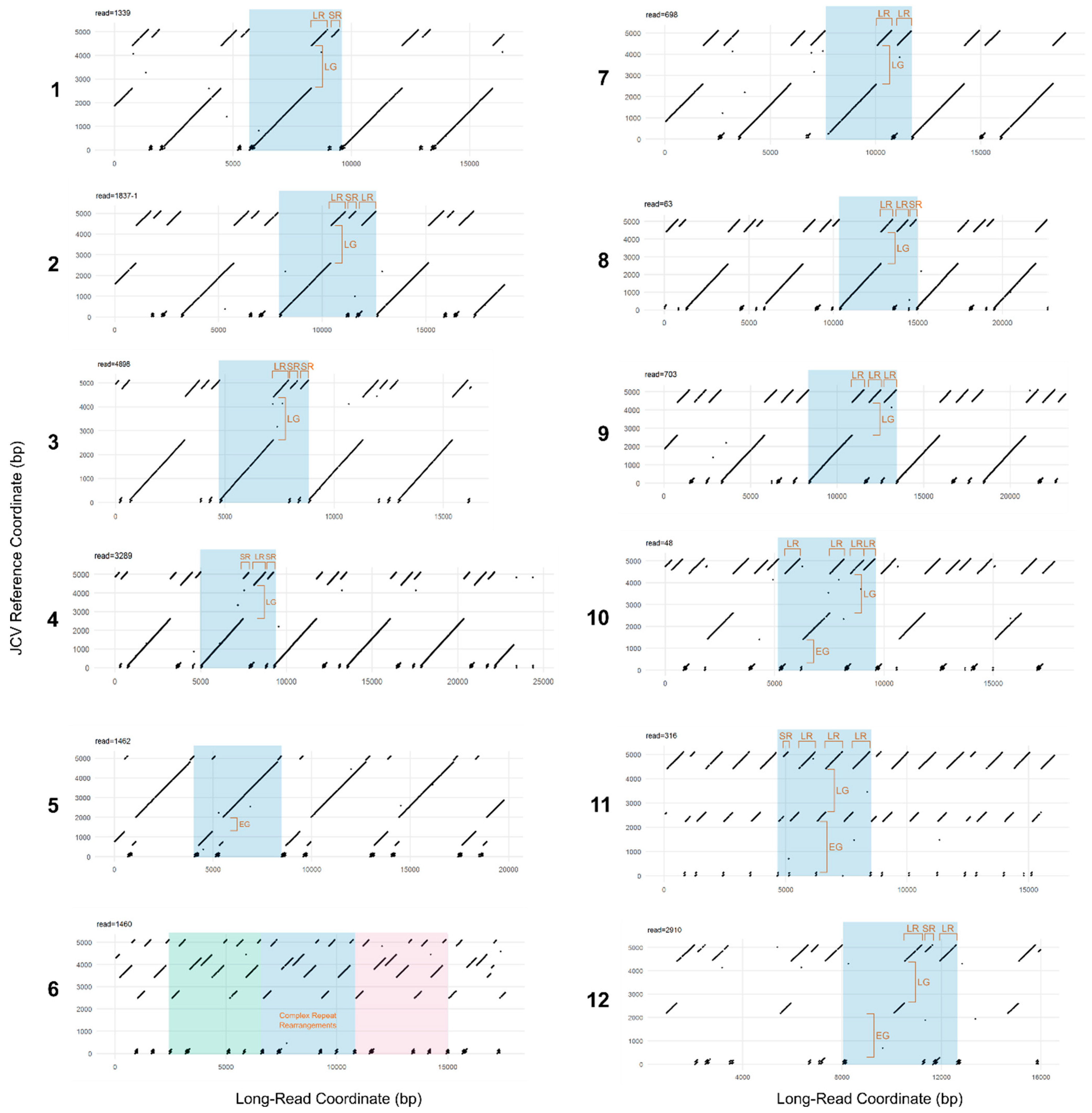 Viruses 15 01289 g004