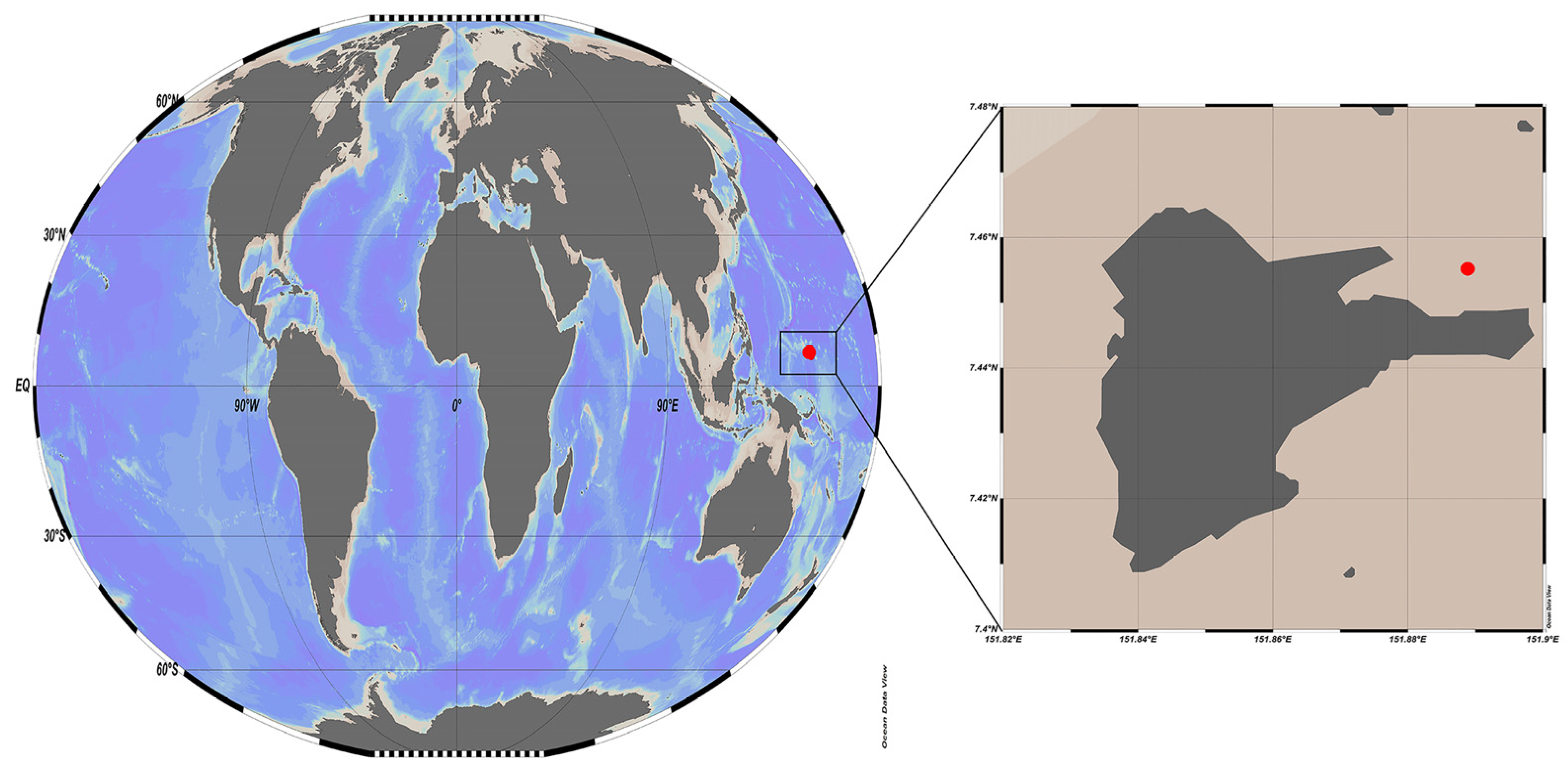 Viruses 15 01293 g001