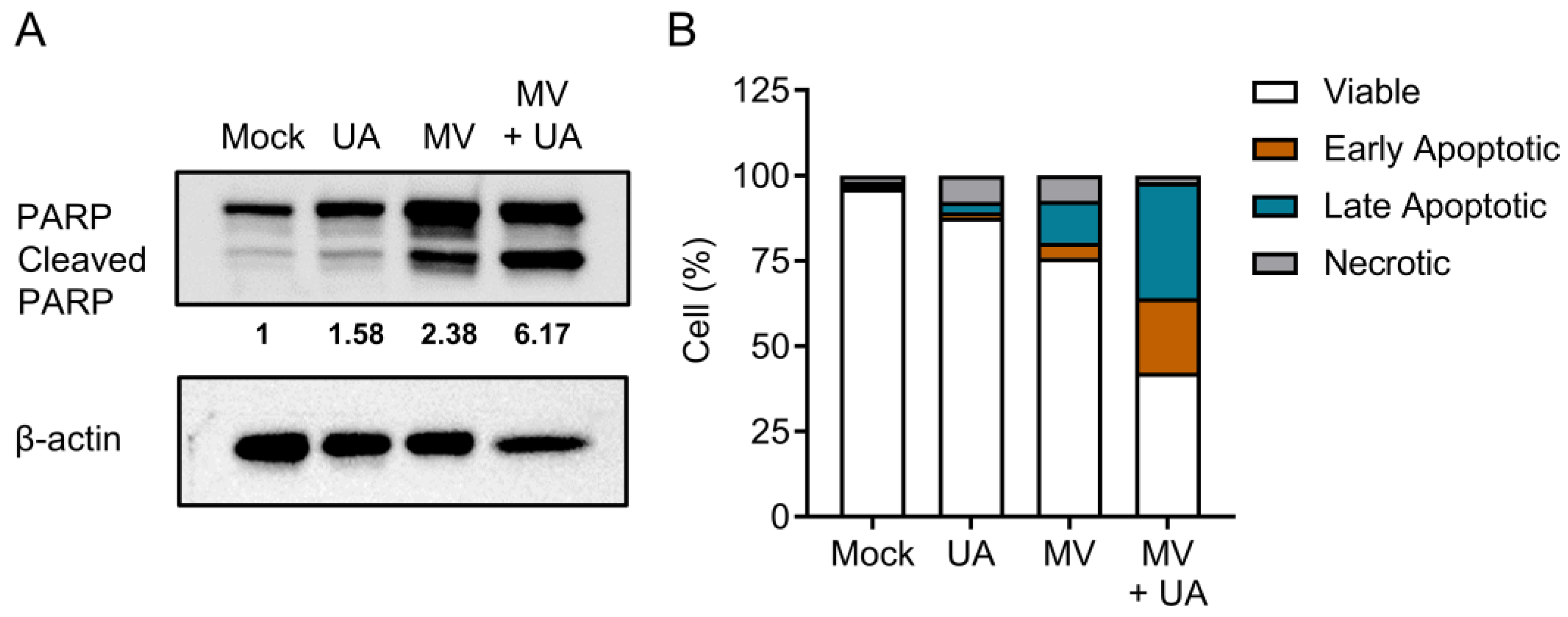 Viruses 15 01294 g003 Viruses 15 01294 g003
