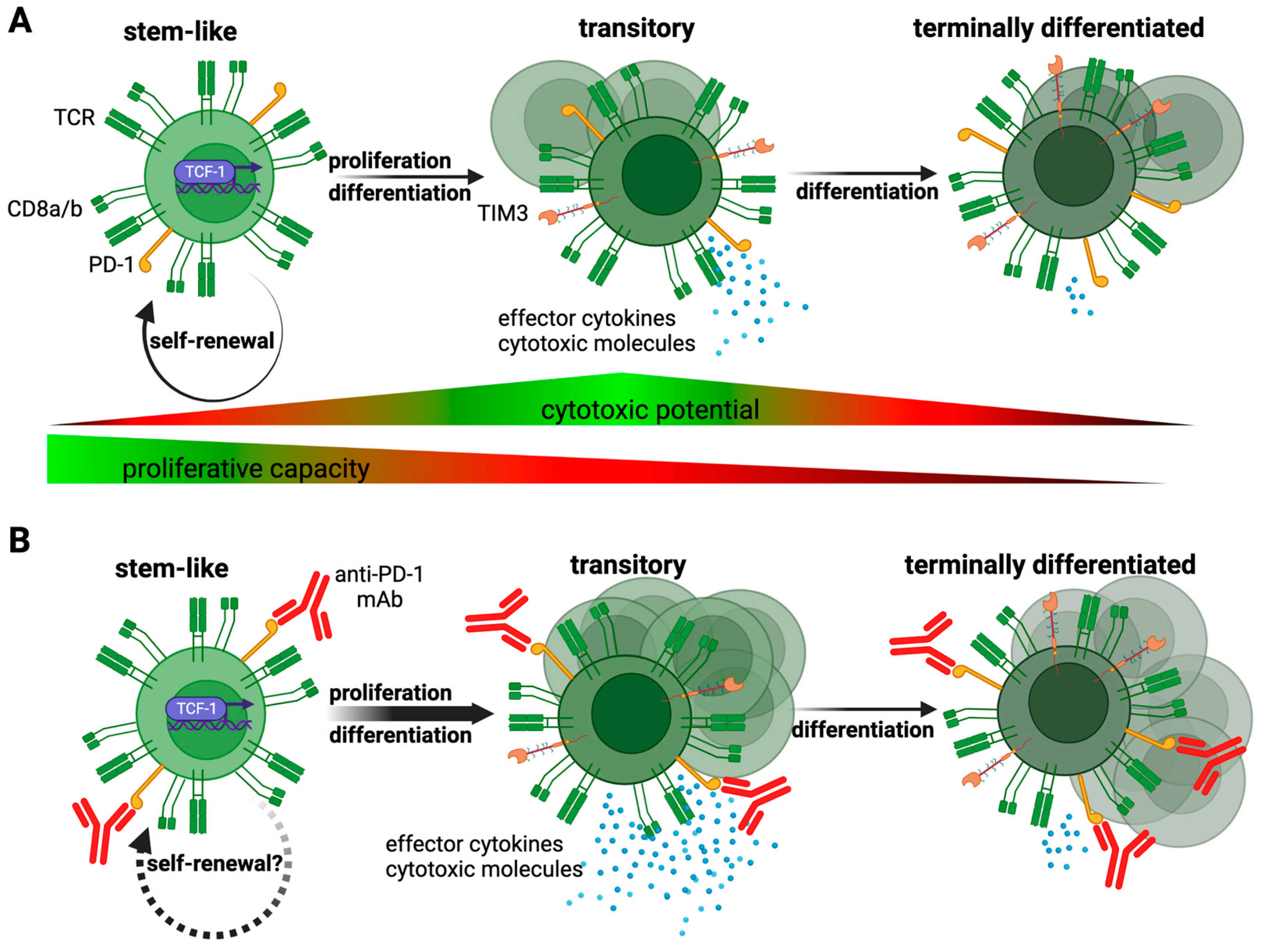 Viruses 15 01296 g002