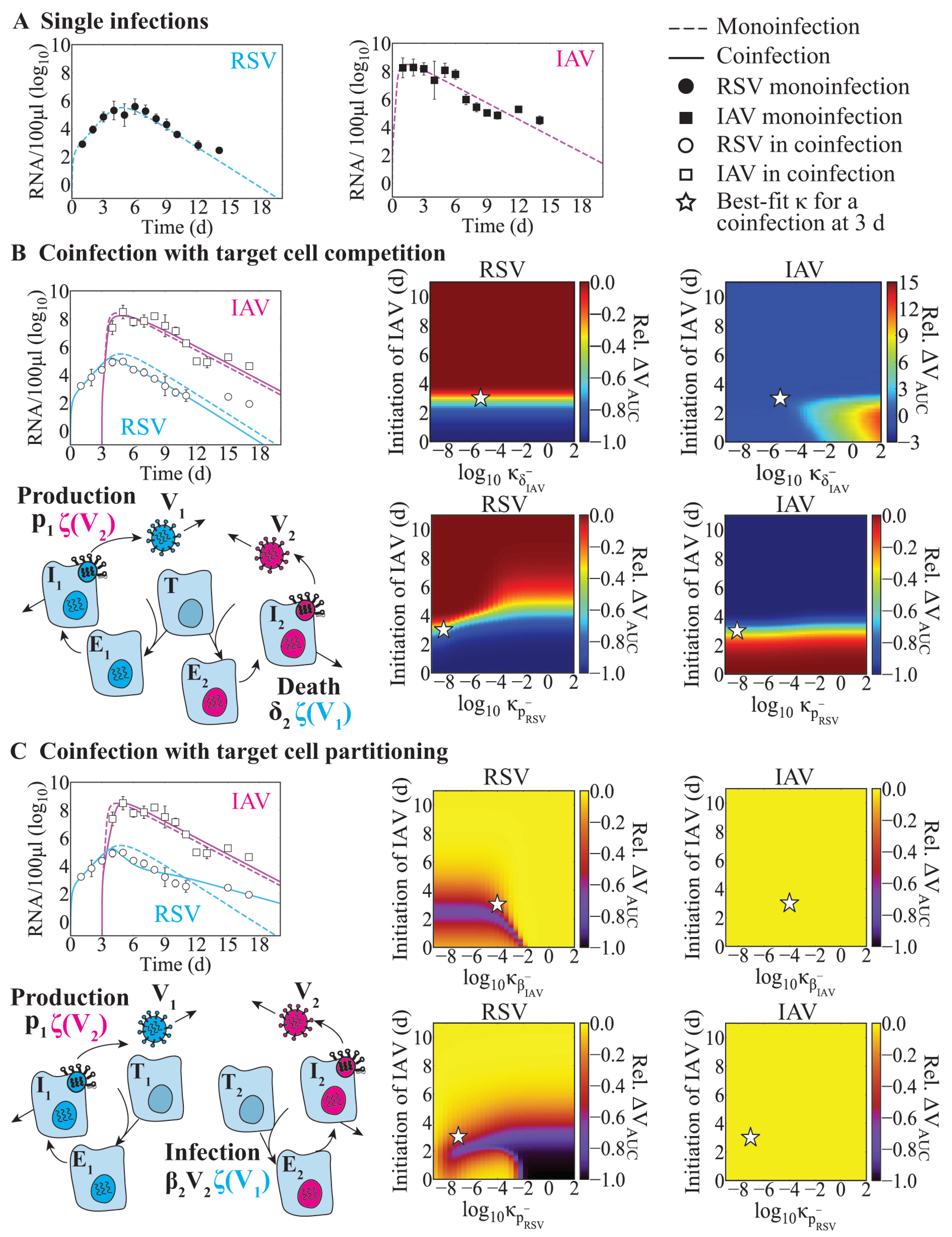 Viruses 15 01303 g002