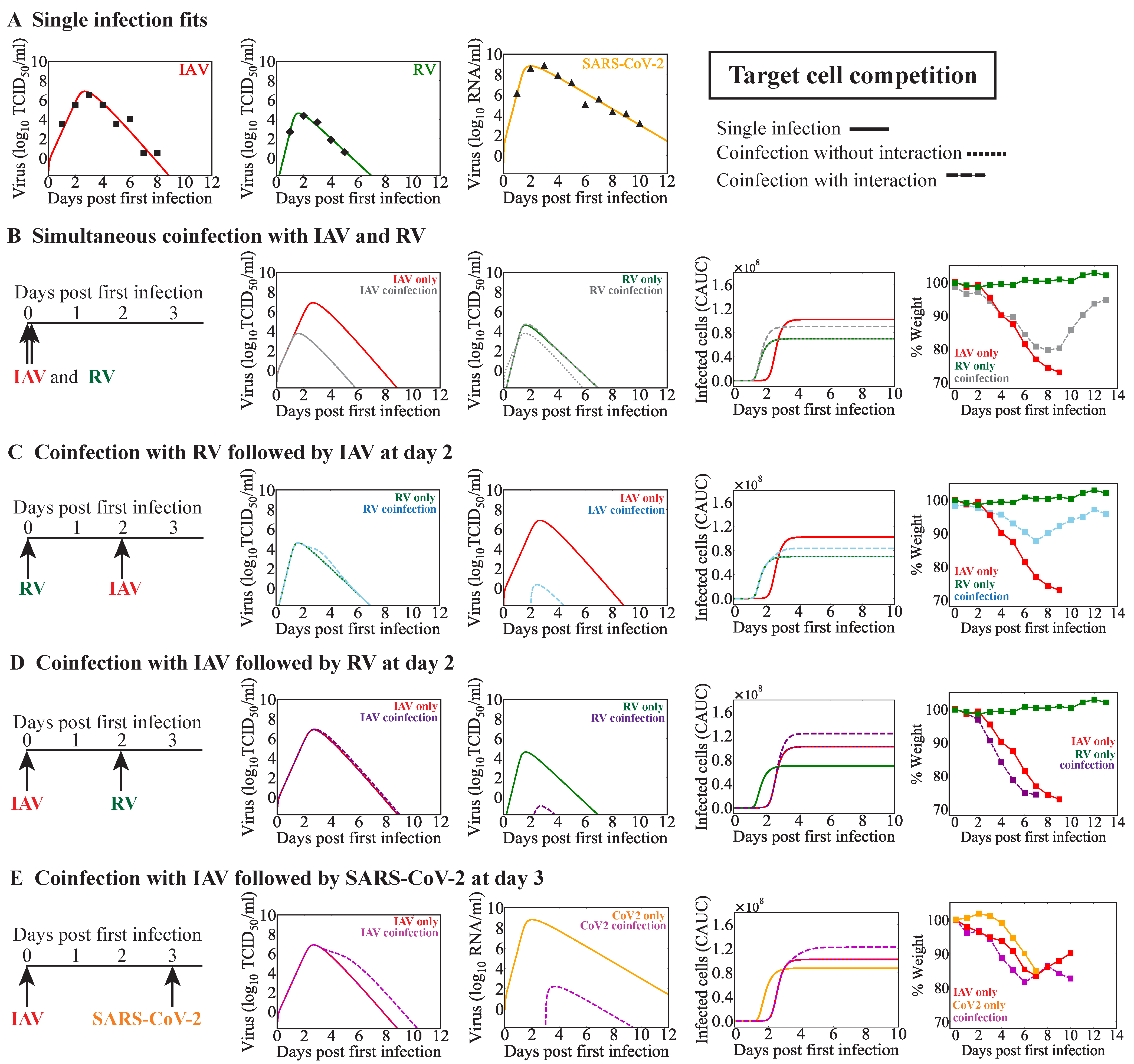 Viruses 15 01303 g003
