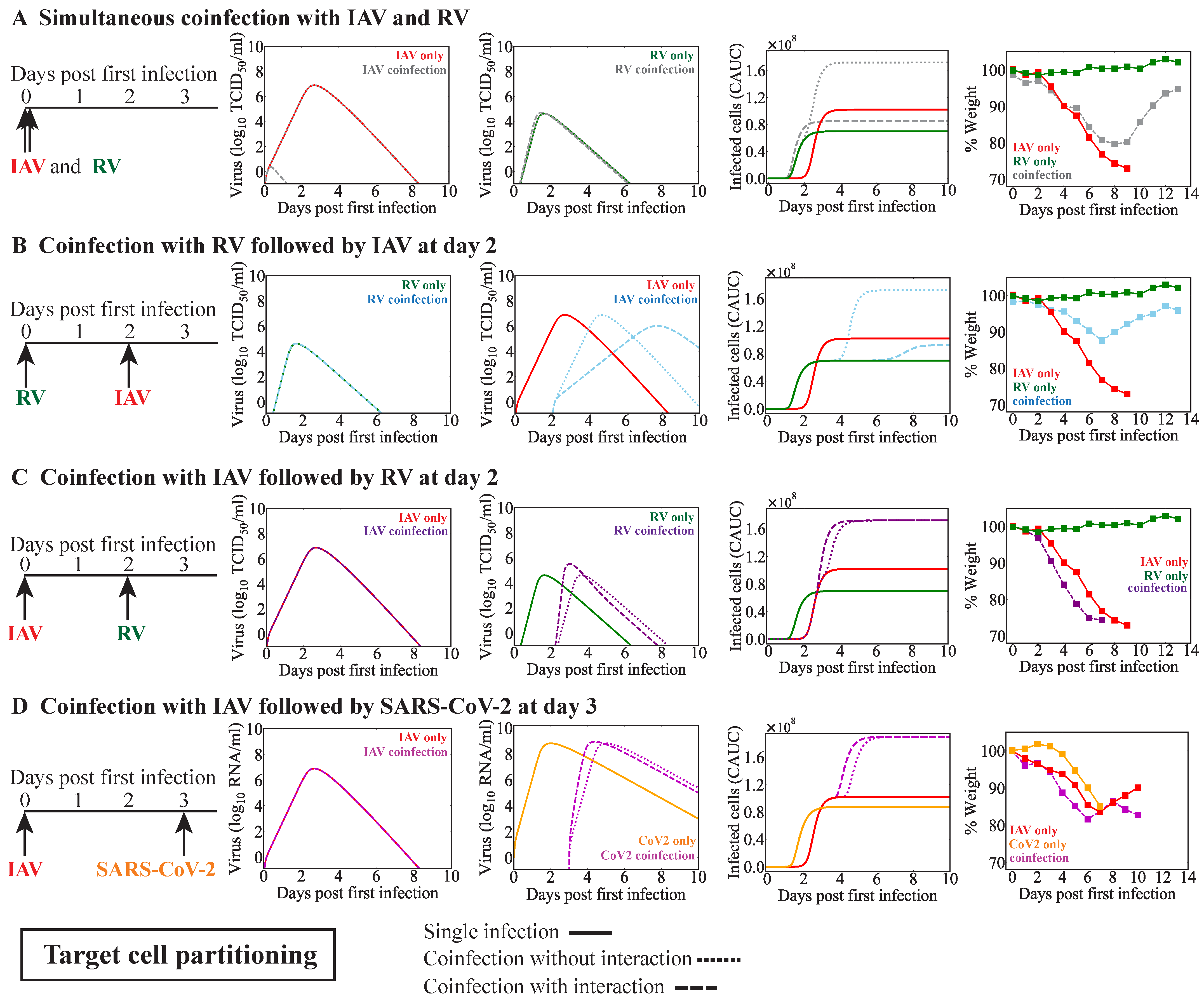 Viruses 15 01303 g004