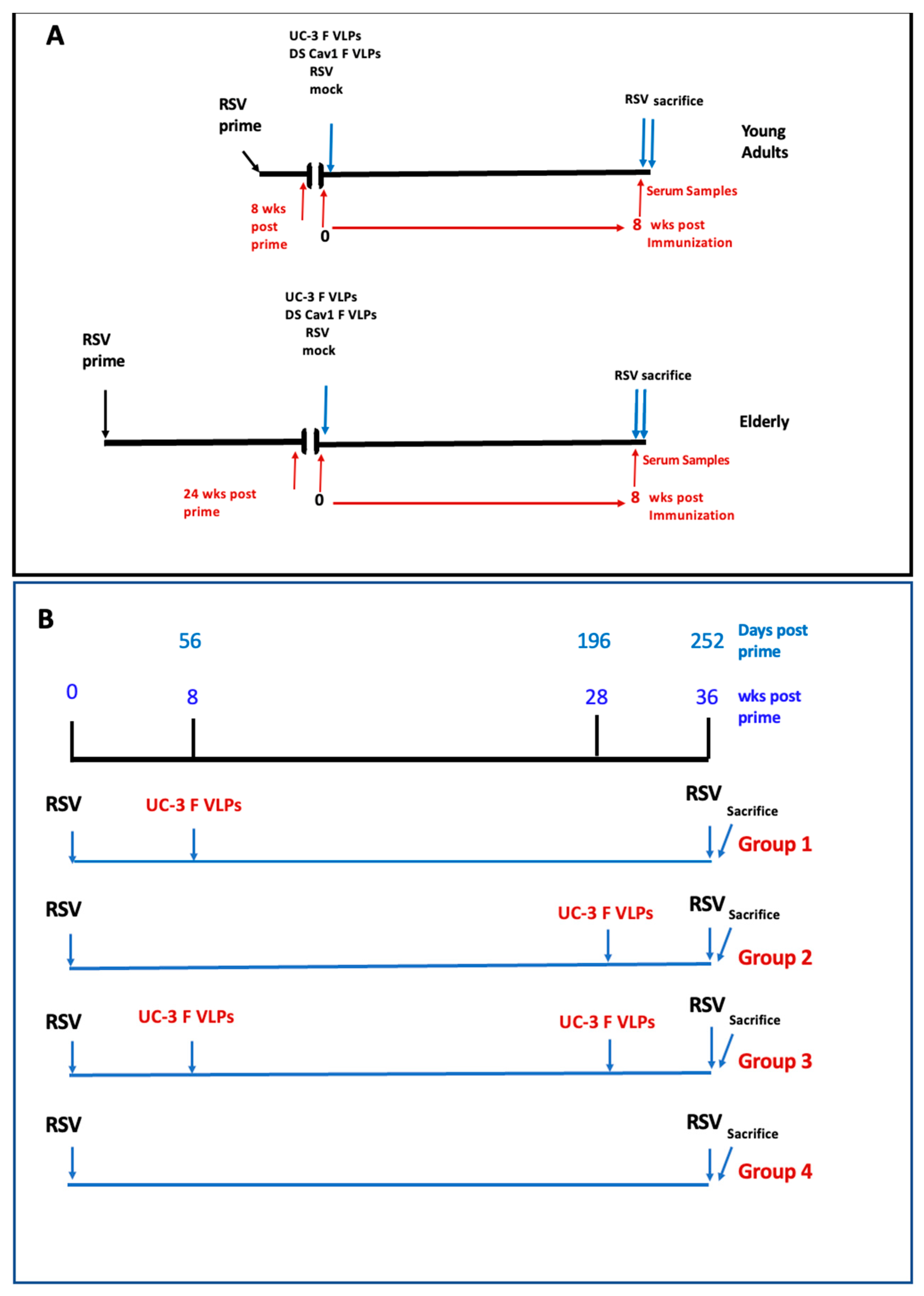 Viruses 15 01305 g001