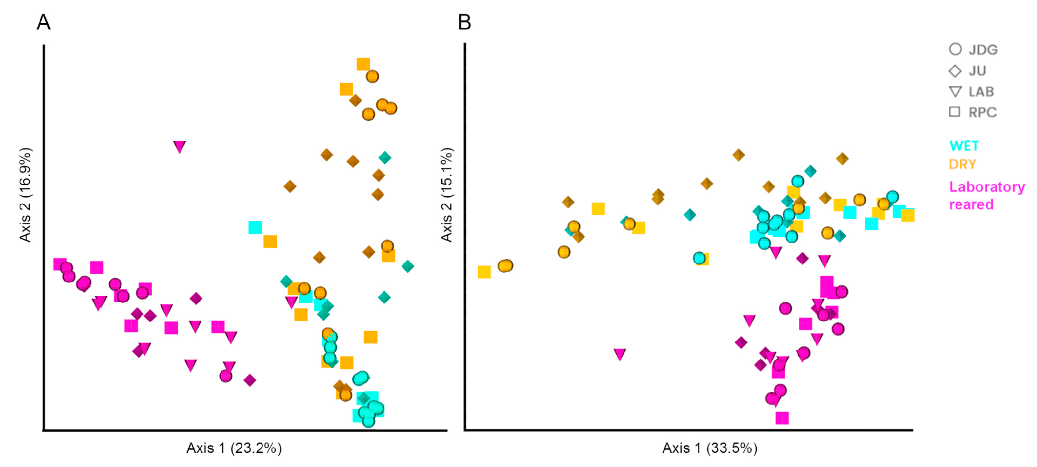 Viruses 15 01309 g004 Viruses 15 01309 g004