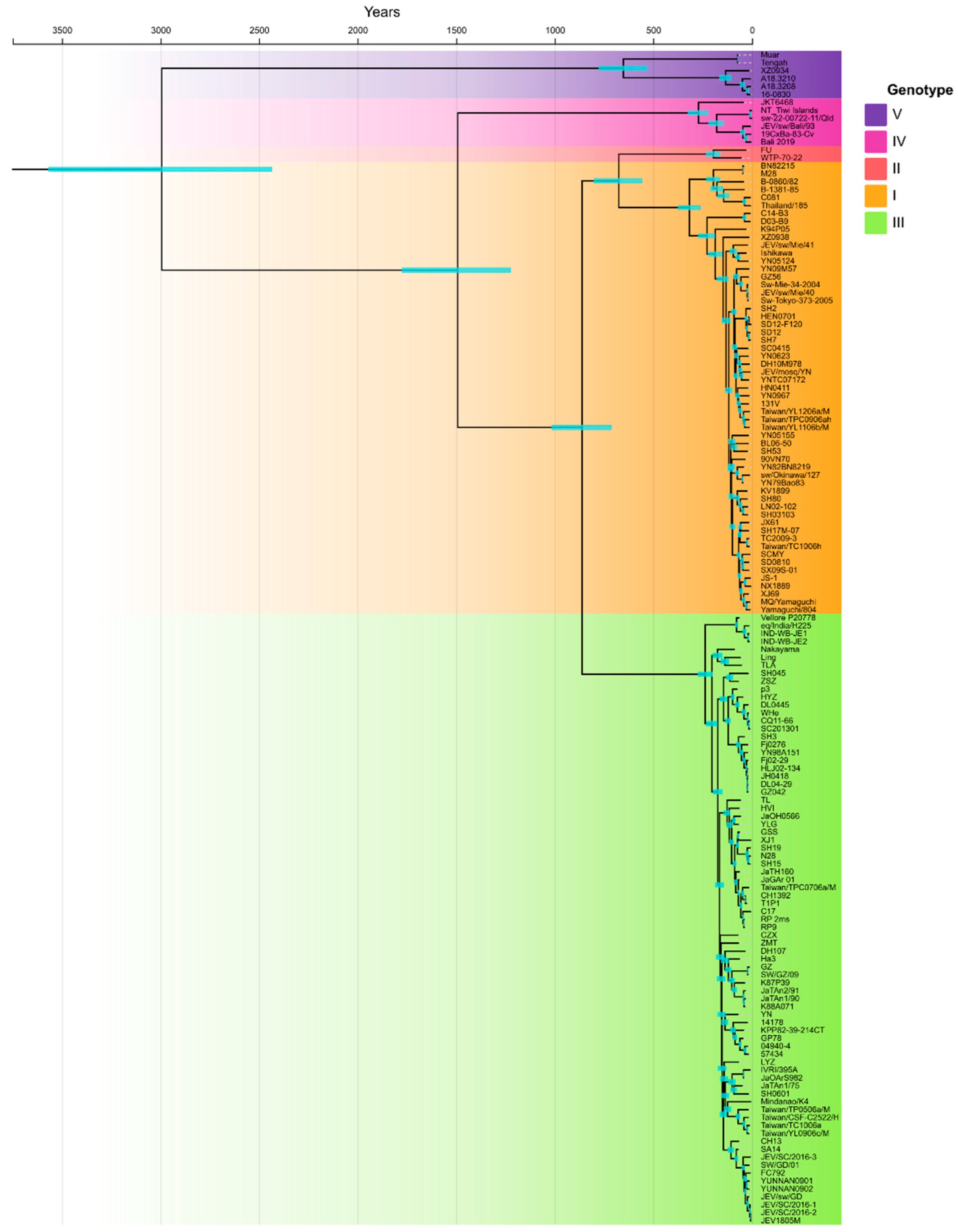 Viruses 15 01312 g001 Viruses 15 01312 g001