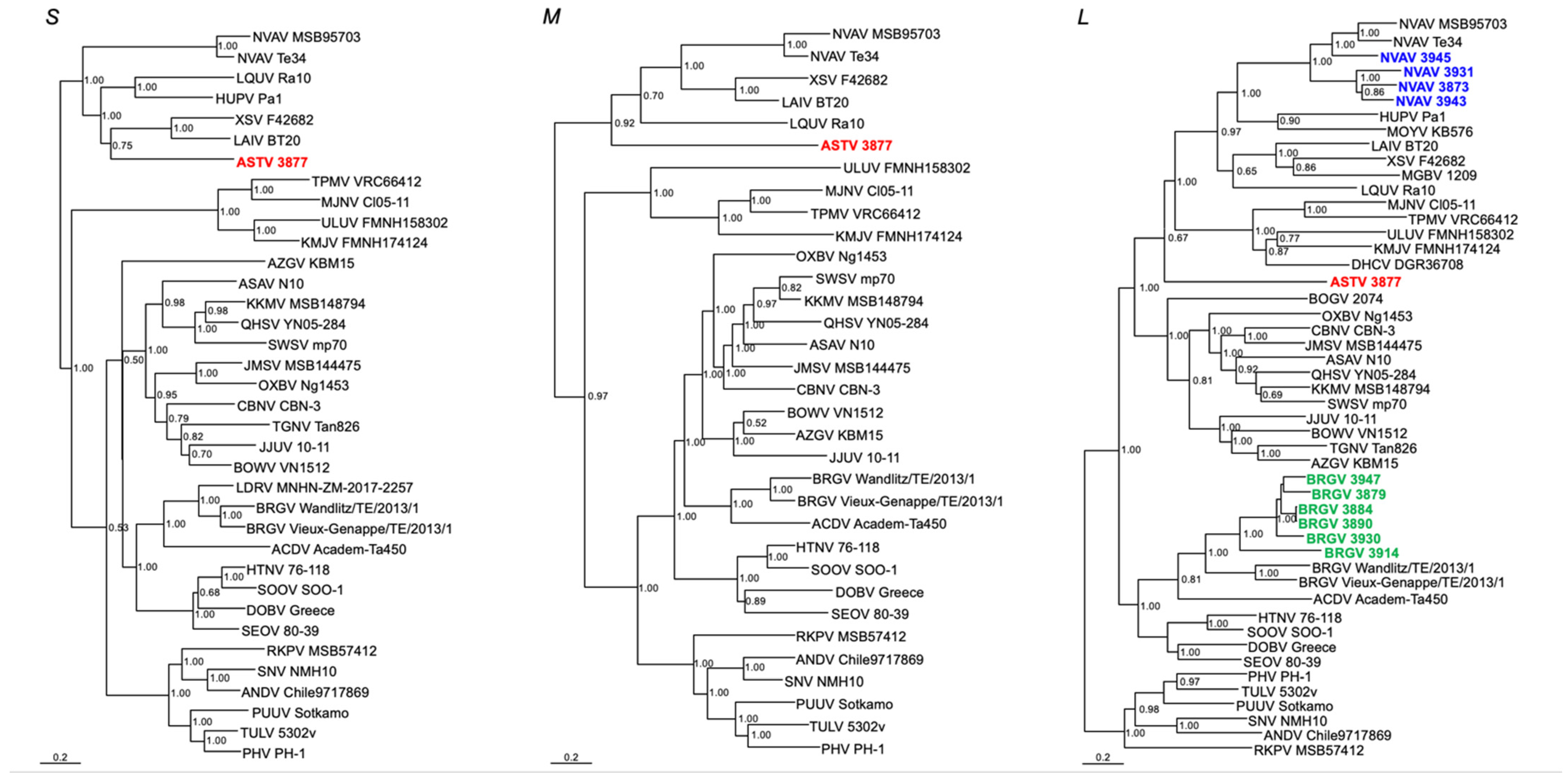 Viruses 15 01313 g002