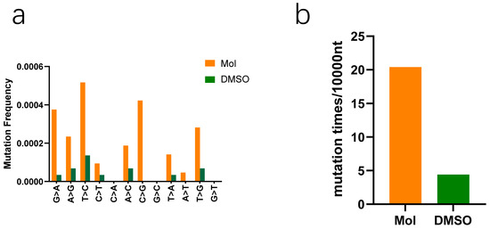 Molnupiravir Inhibits Porcine Epidemic Diarrhea Virus