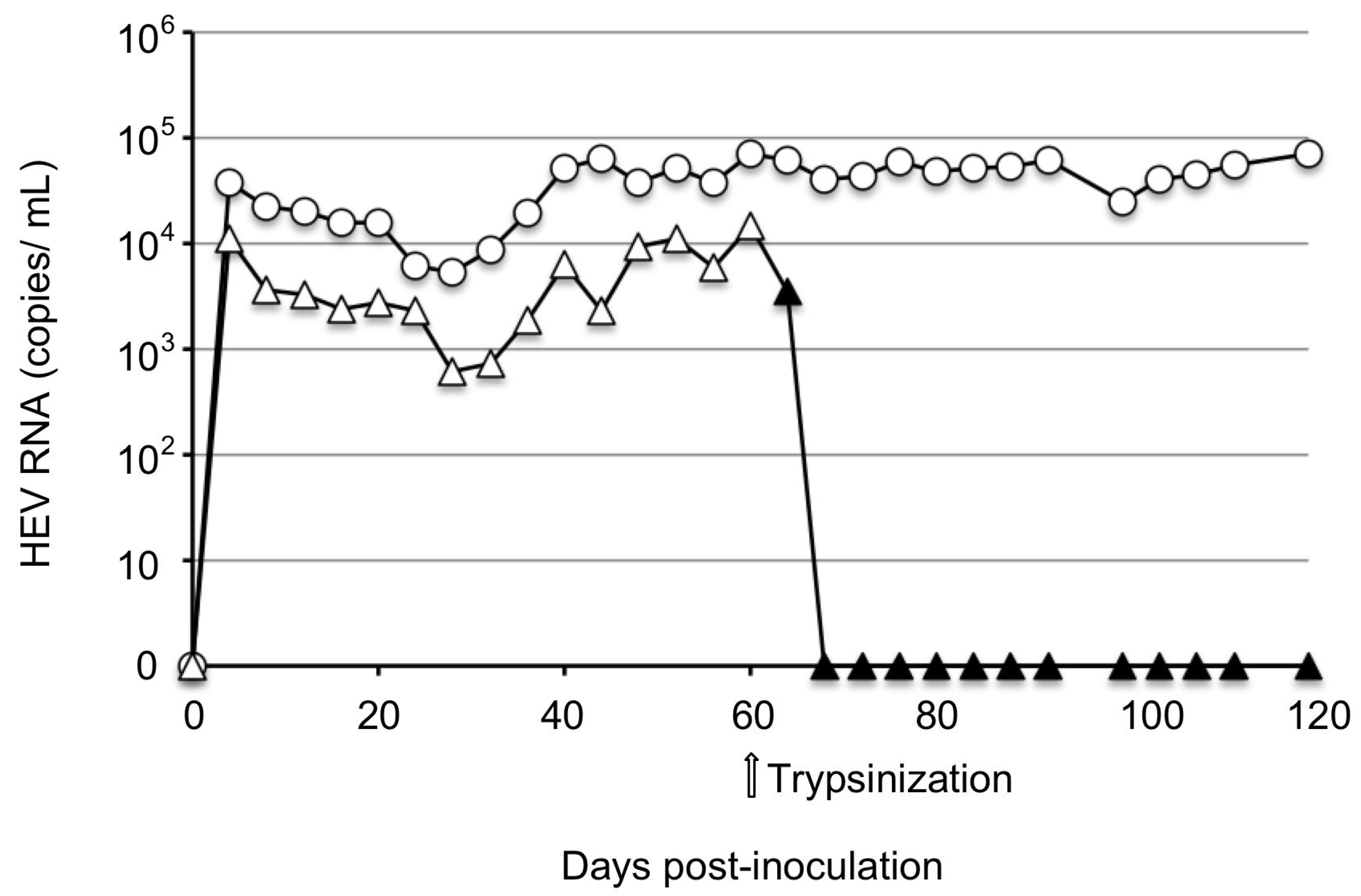 Viruses 15 01322 g003 Viruses 15 01322 g003