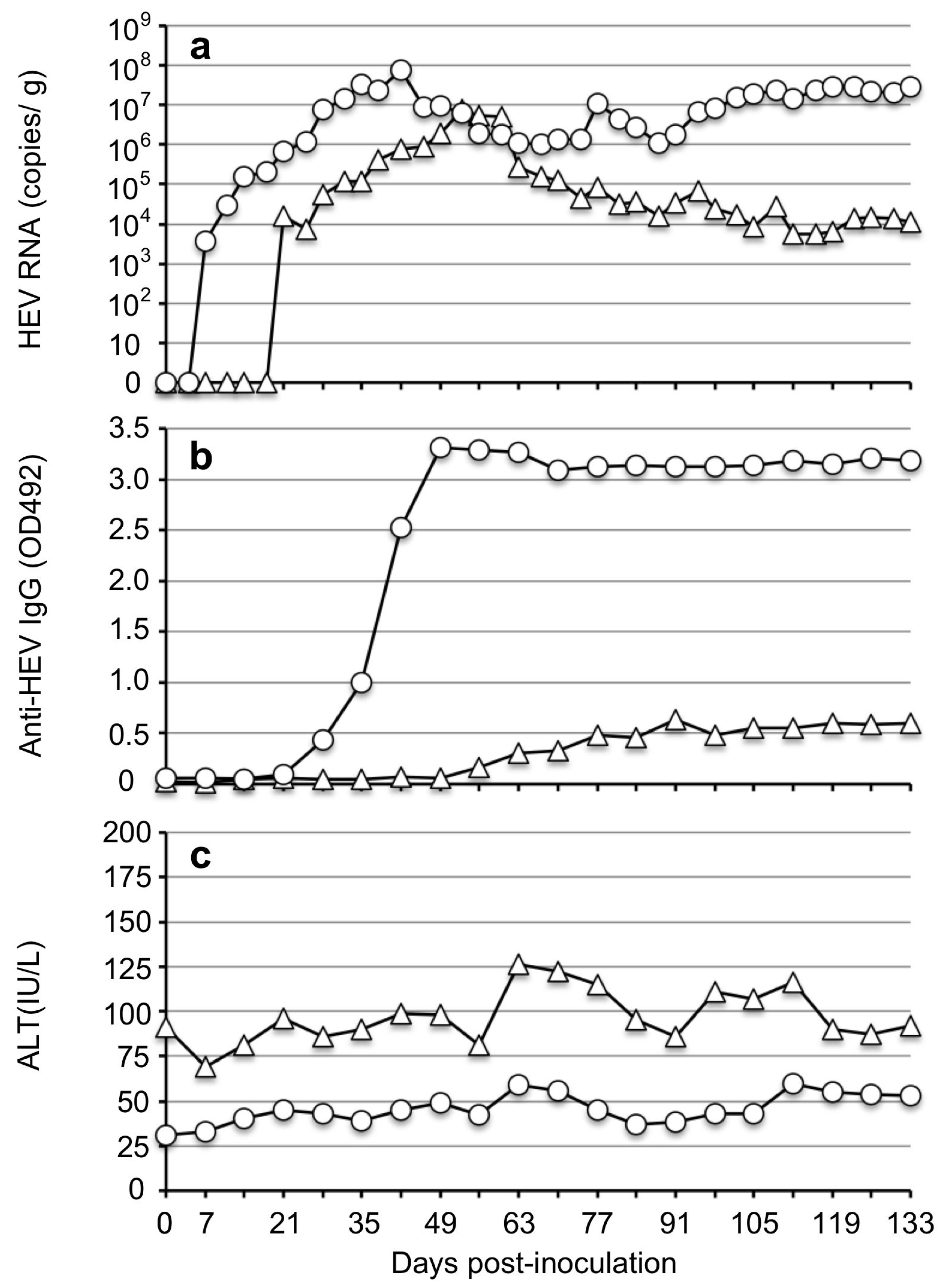 Viruses 15 01322 g004 Viruses 15 01322 g004