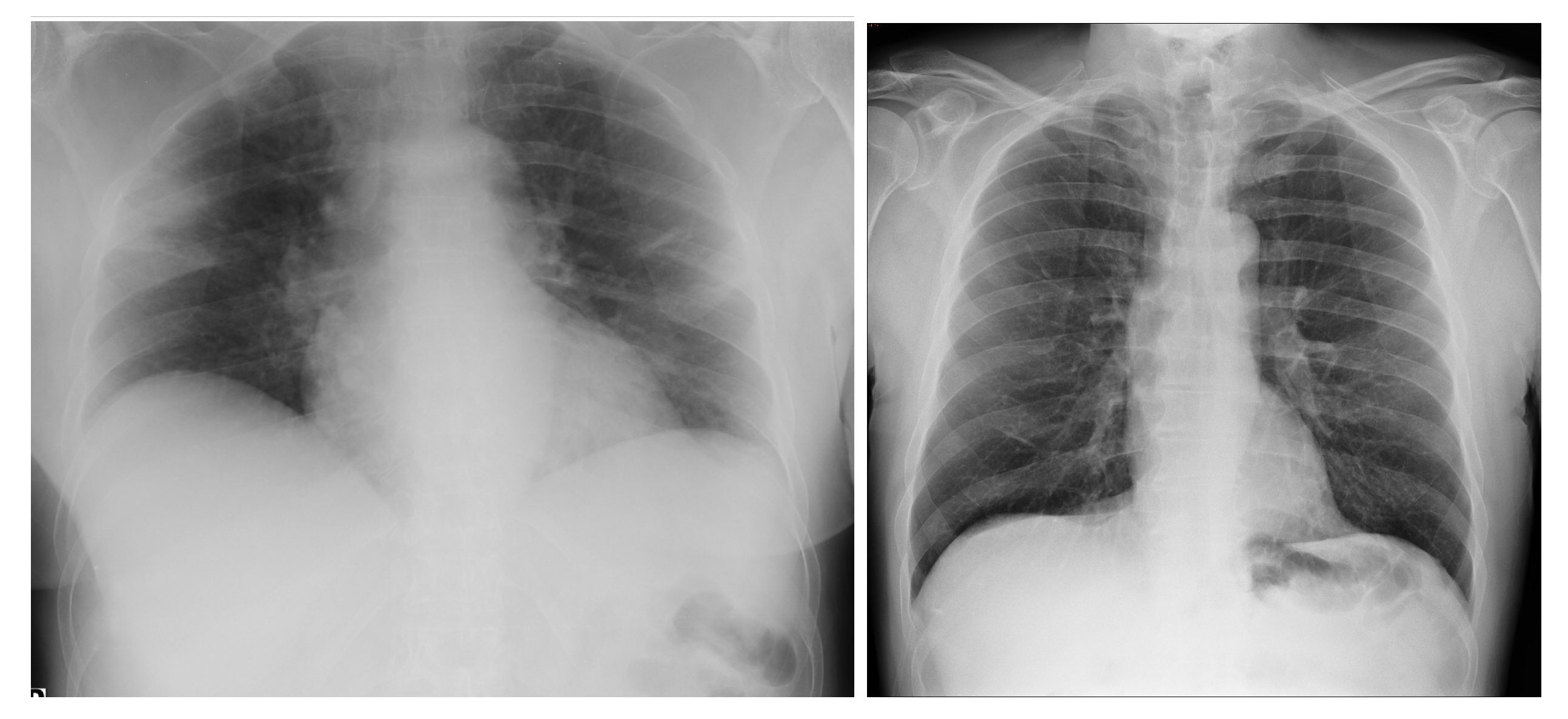 Viruses 15 01327 g003 Viruses 15 01327 g003