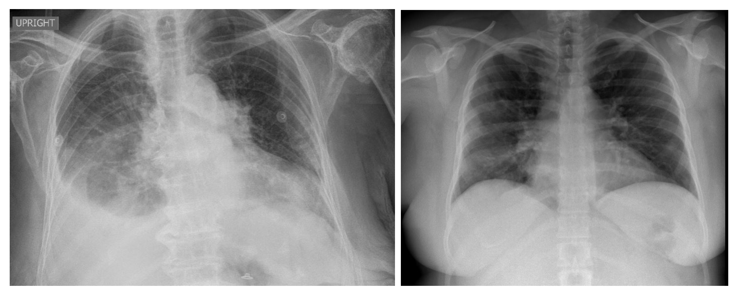 Viruses 15 01327 g006 Viruses 15 01327 g006