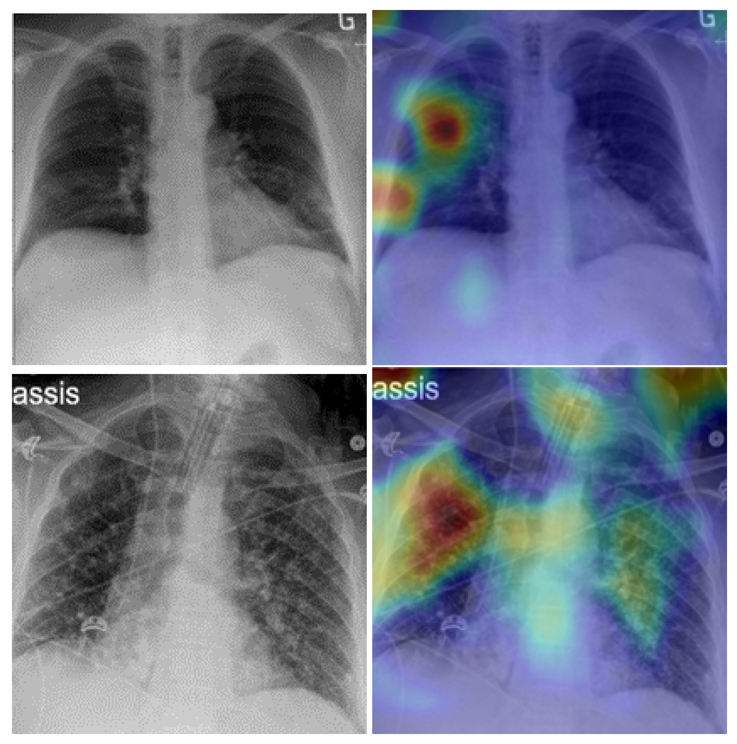 Viruses 15 01327 g008b Viruses 15 01327 g008b